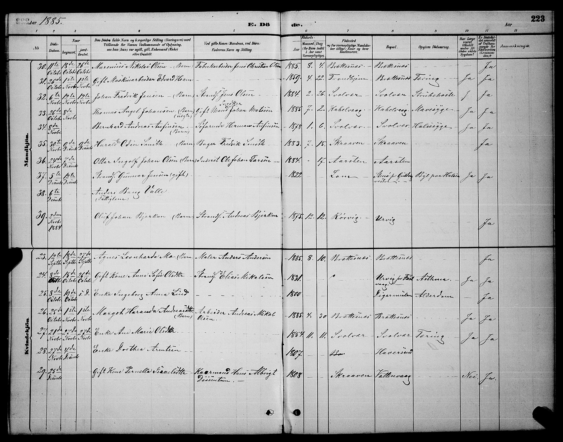 Ministerialprotokoller, klokkerbøker og fødselsregistre - Nordland, AV/SAT-A-1459/874/L1076: Parish register (copy) no. 874C05, 1884-1890, p. 223