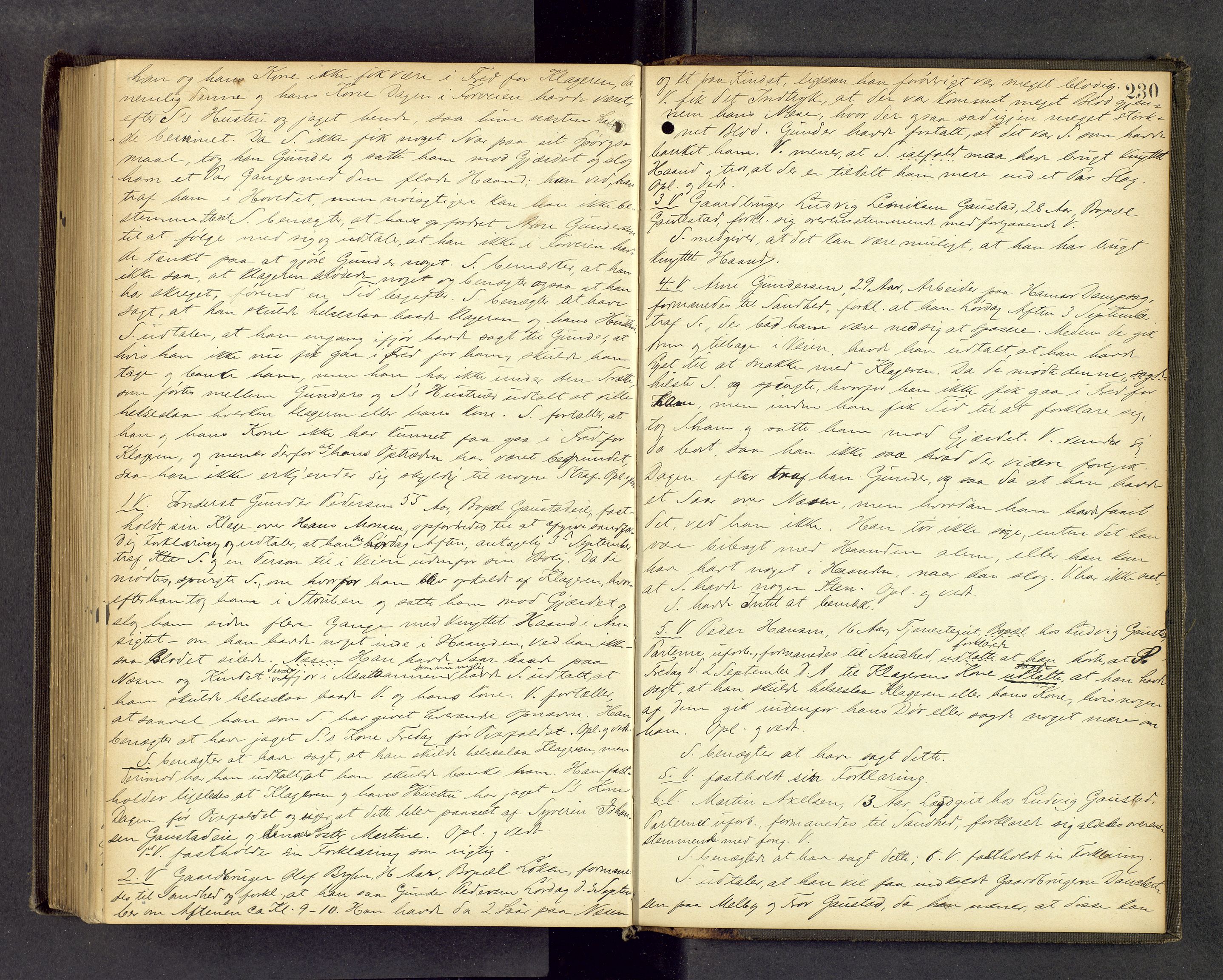 Sør-Hedmark sorenskriveri, AV/SAH-TING-014/G/Gc/Gca/L0015: Ekstrarettsprotokoll, 1885-1892, p. 229b-230a