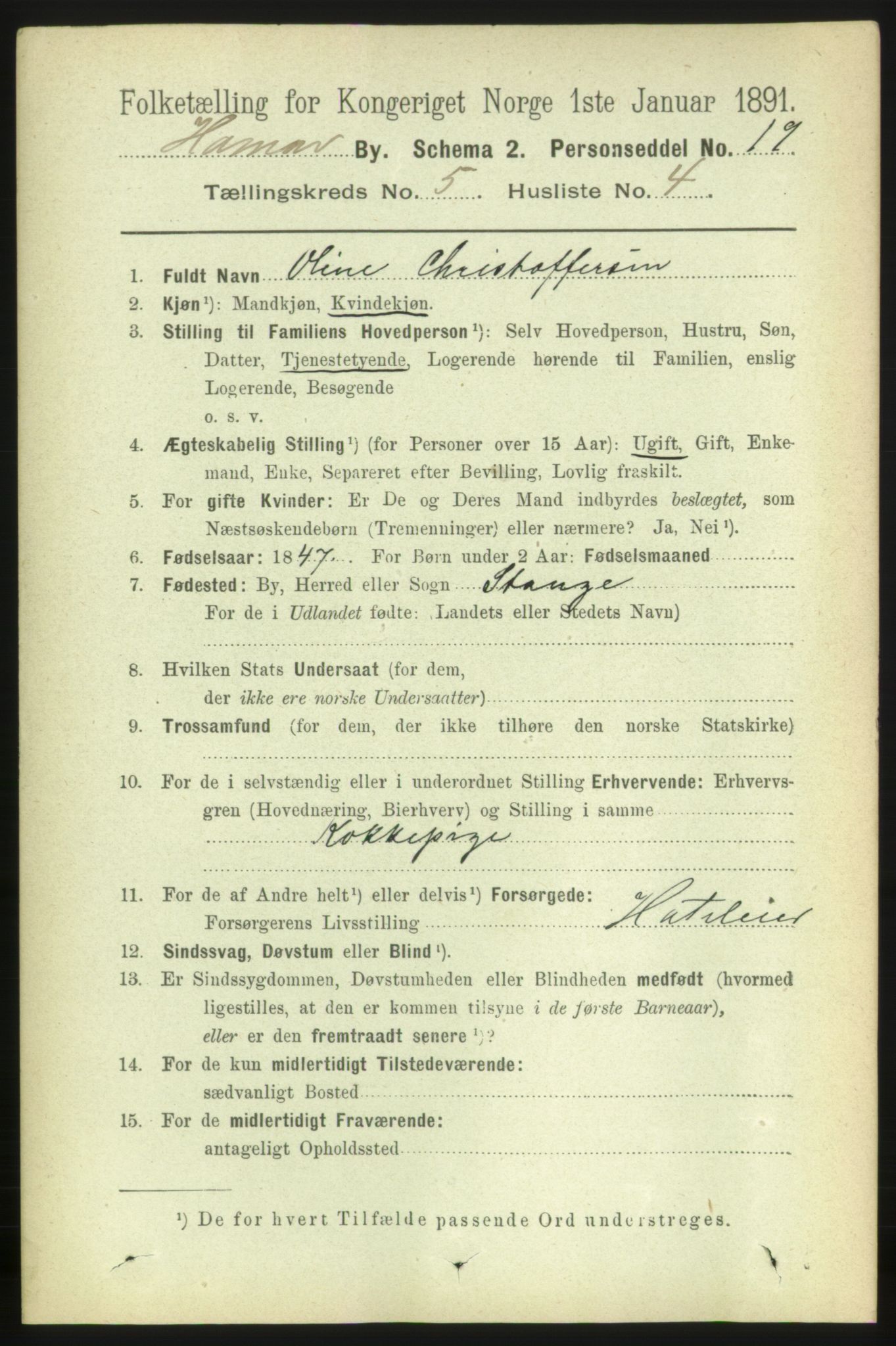RA, 1891 census for 0401 Hamar, 1891, p. 3753