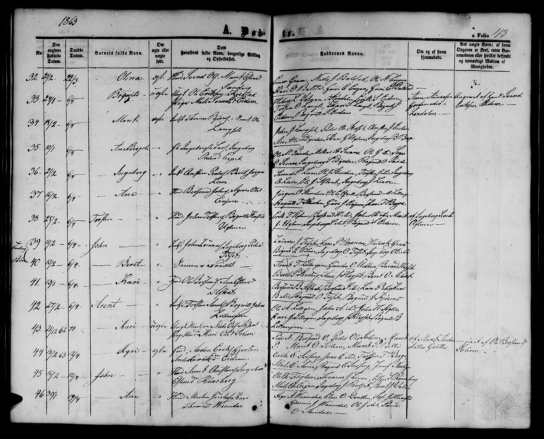 Ministerialprotokoller, klokkerbøker og fødselsregistre - Sør-Trøndelag, AV/SAT-A-1456/695/L1155: Parish register (copy) no. 695C06, 1859-1868, p. 43