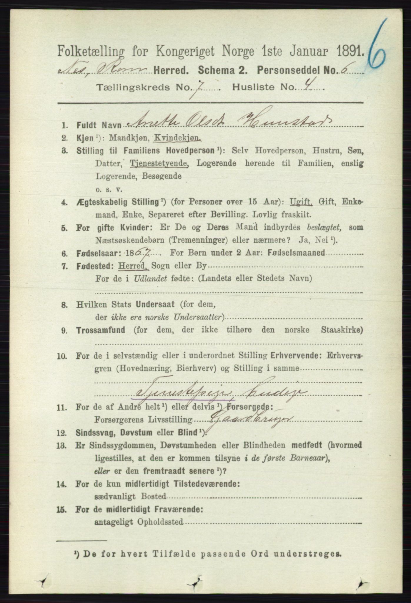 RA, 1891 census for 0236 Nes, 1891, p. 4047