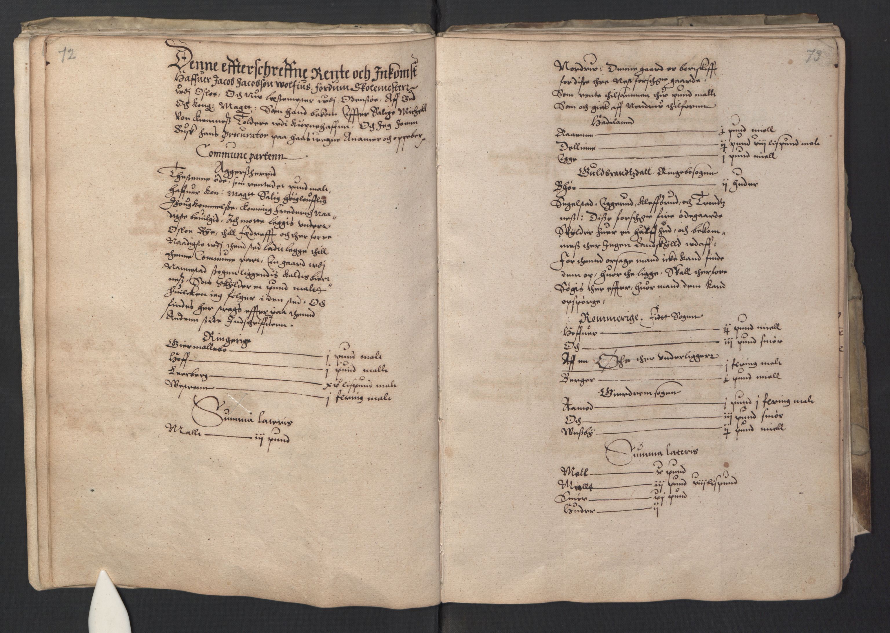 Stattholderembetet 1572-1771, RA/EA-2870/Ek/L0001/0001: Jordebøker før 1624 og til utligning av garnisonsskatt 1624-1626: / Jordebok for Oslo kapitel, 1595, p. 42