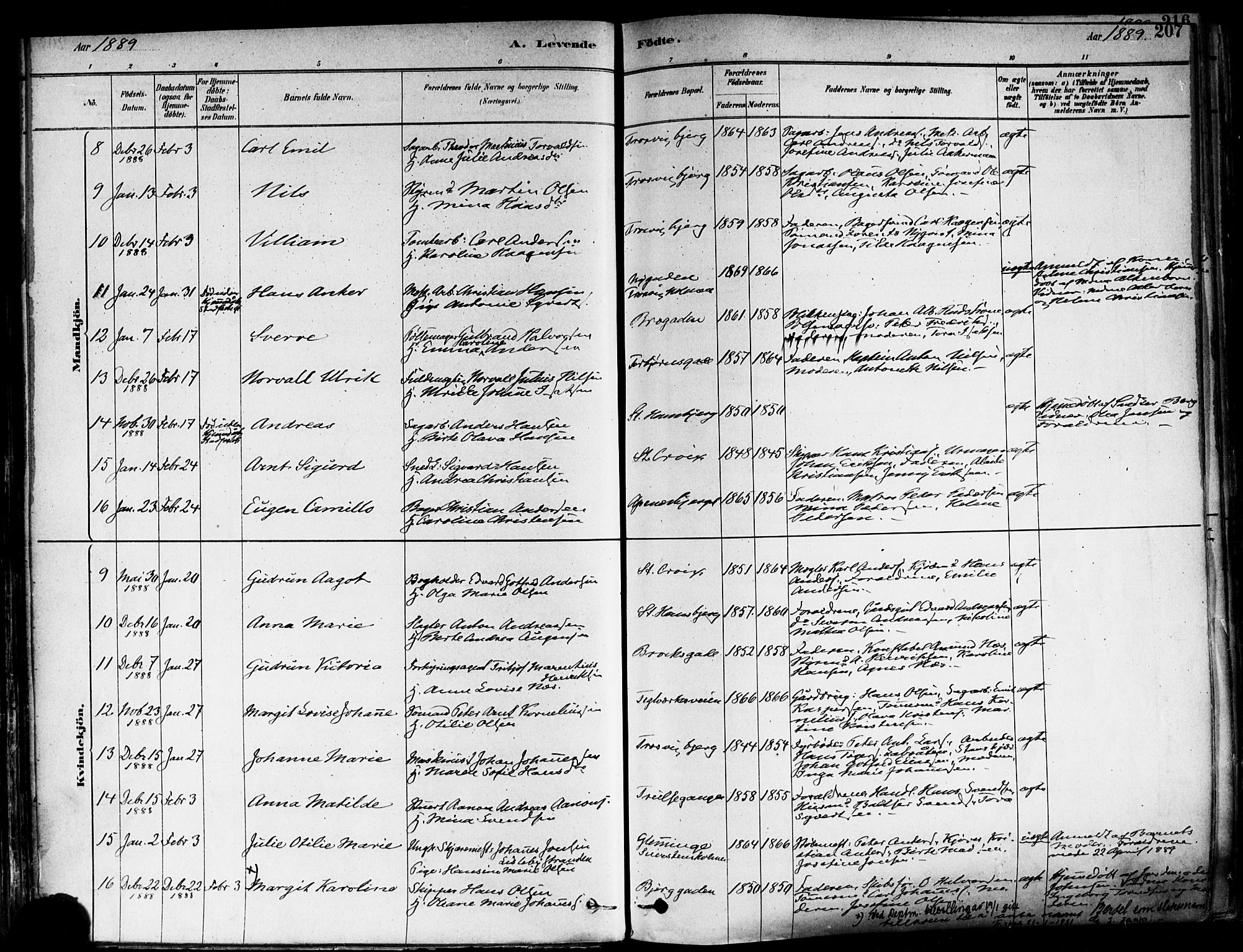 Fredrikstad domkirkes prestekontor Kirkebøker, AV/SAO-A-10906/F/Fa/L0002: Parish register (official) no. 2, 1878-1894, p. 207