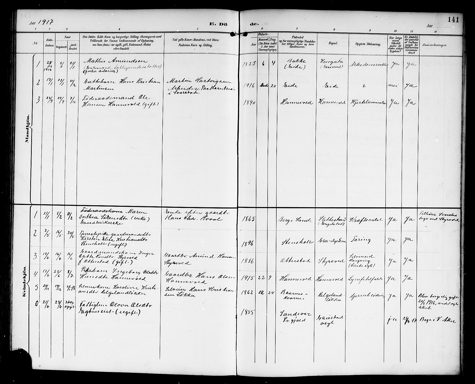 Lardal kirkebøker, AV/SAKO-A-350/G/Gc/L0002: Parish register (copy) no. III 2, 1894-1918, p. 141