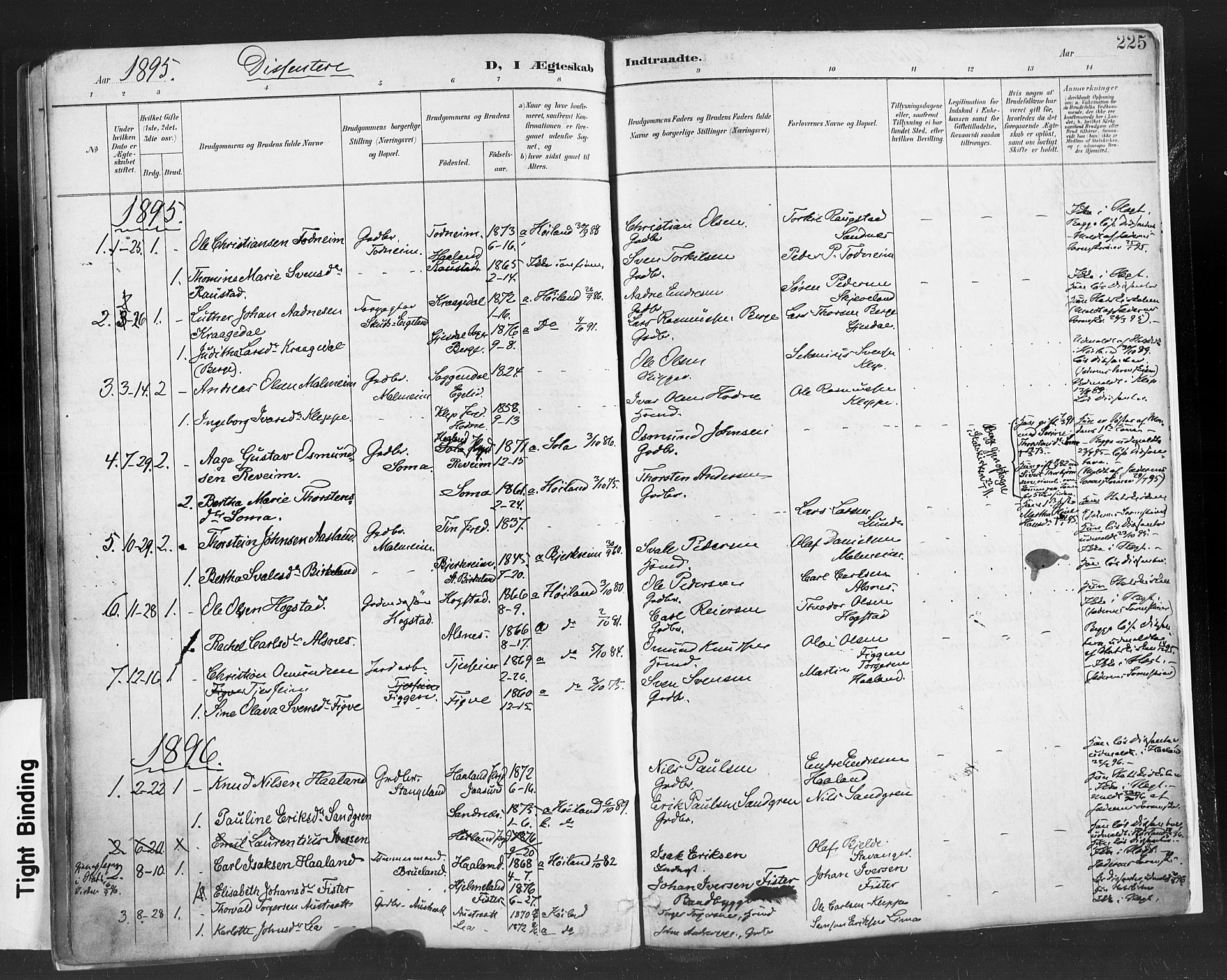 Høyland sokneprestkontor, SAST/A-101799/001/30BA/L0013: Parish register (official) no. A 13.1, 1889-1898, p. 225