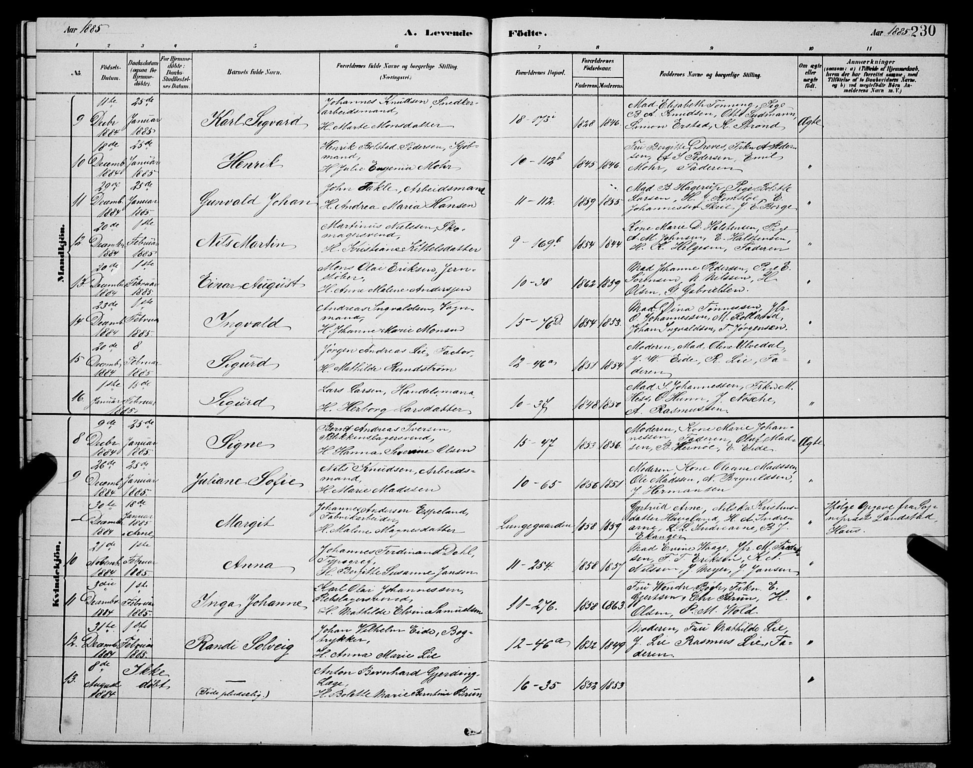 Domkirken sokneprestembete, SAB/A-74801/H/Hab/L0015: Parish register (copy) no. B 8, 1879-1887, p. 230