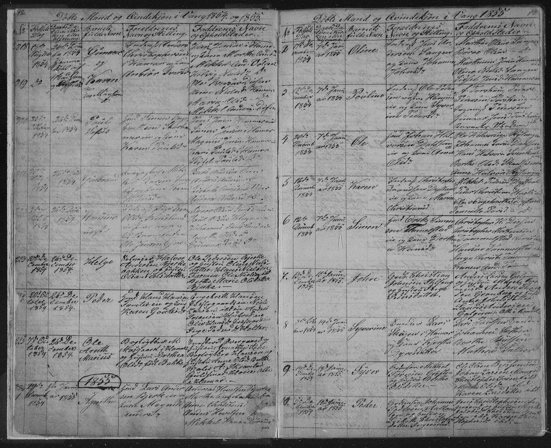 Vang prestekontor, Hedmark, AV/SAH-PREST-008/H/Ha/Hab/L0010A: Parish register (copy) no. 10a, 1854-1896, p. 12-13