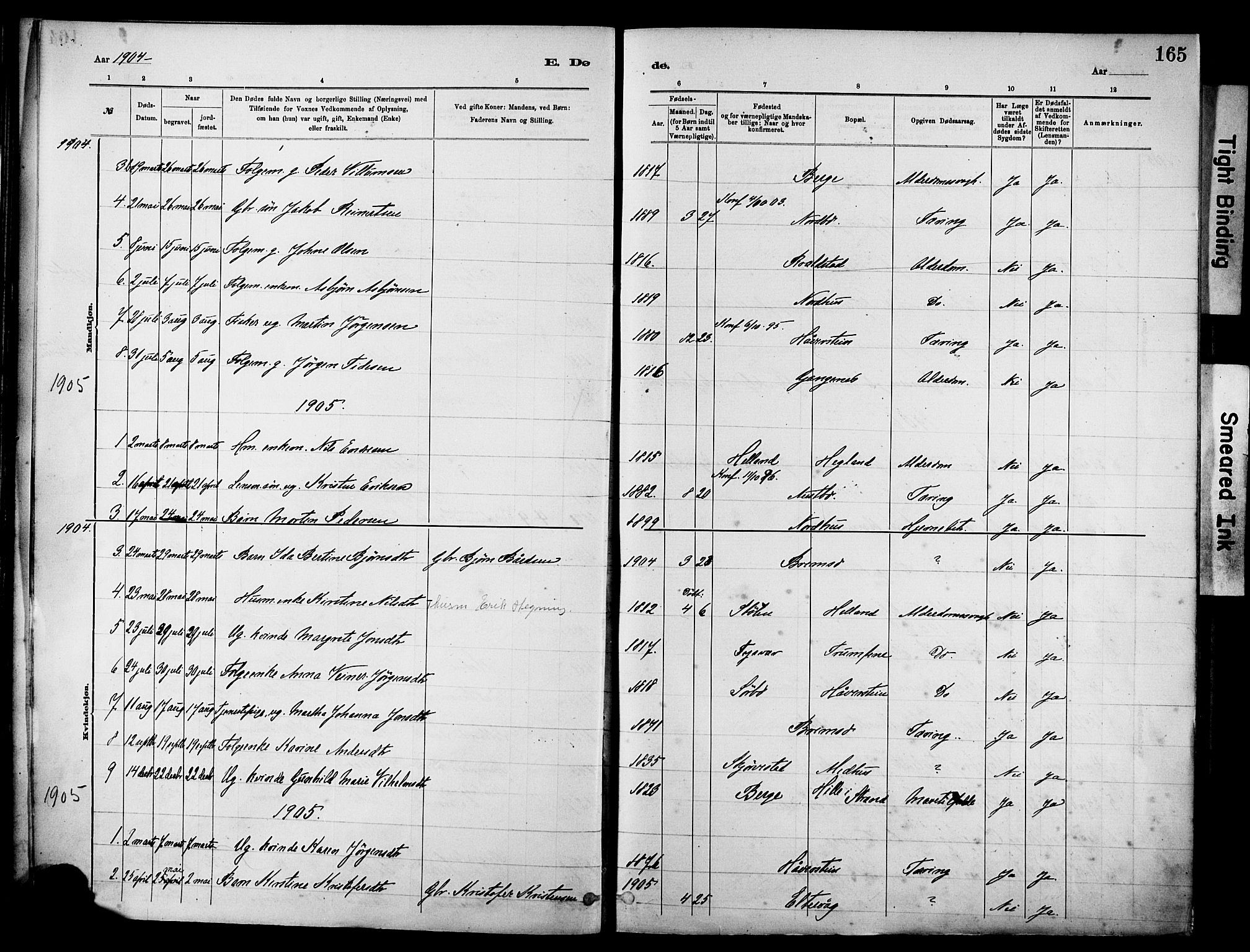 Rennesøy sokneprestkontor, SAST/A -101827/H/Ha/Haa/L0012: Parish register (official) no. A 13, 1885-1917, p. 165