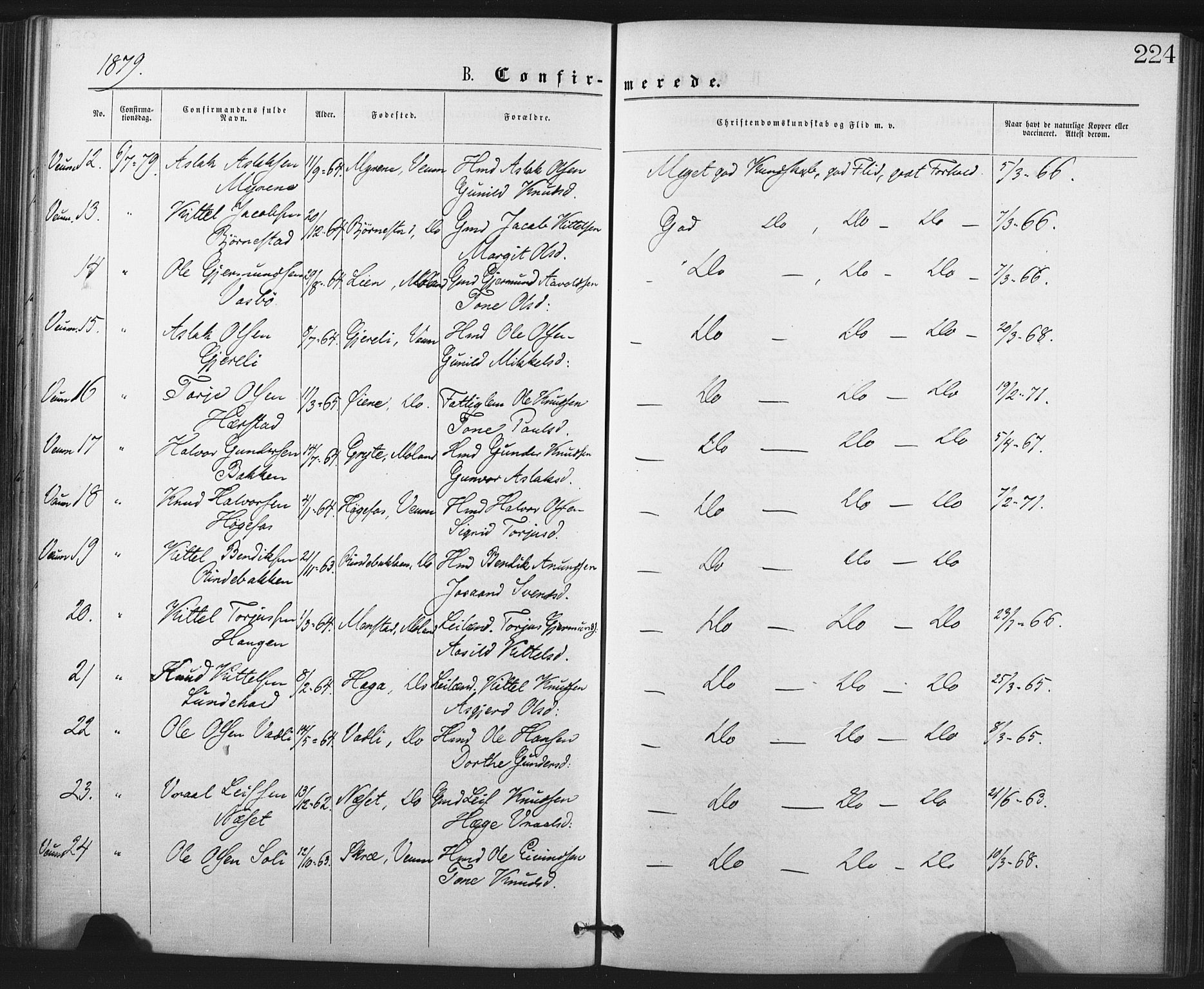 Fyresdal kirkebøker, SAKO/A-263/F/Fa/L0006: Parish register (official) no. I 6, 1872-1886, p. 224