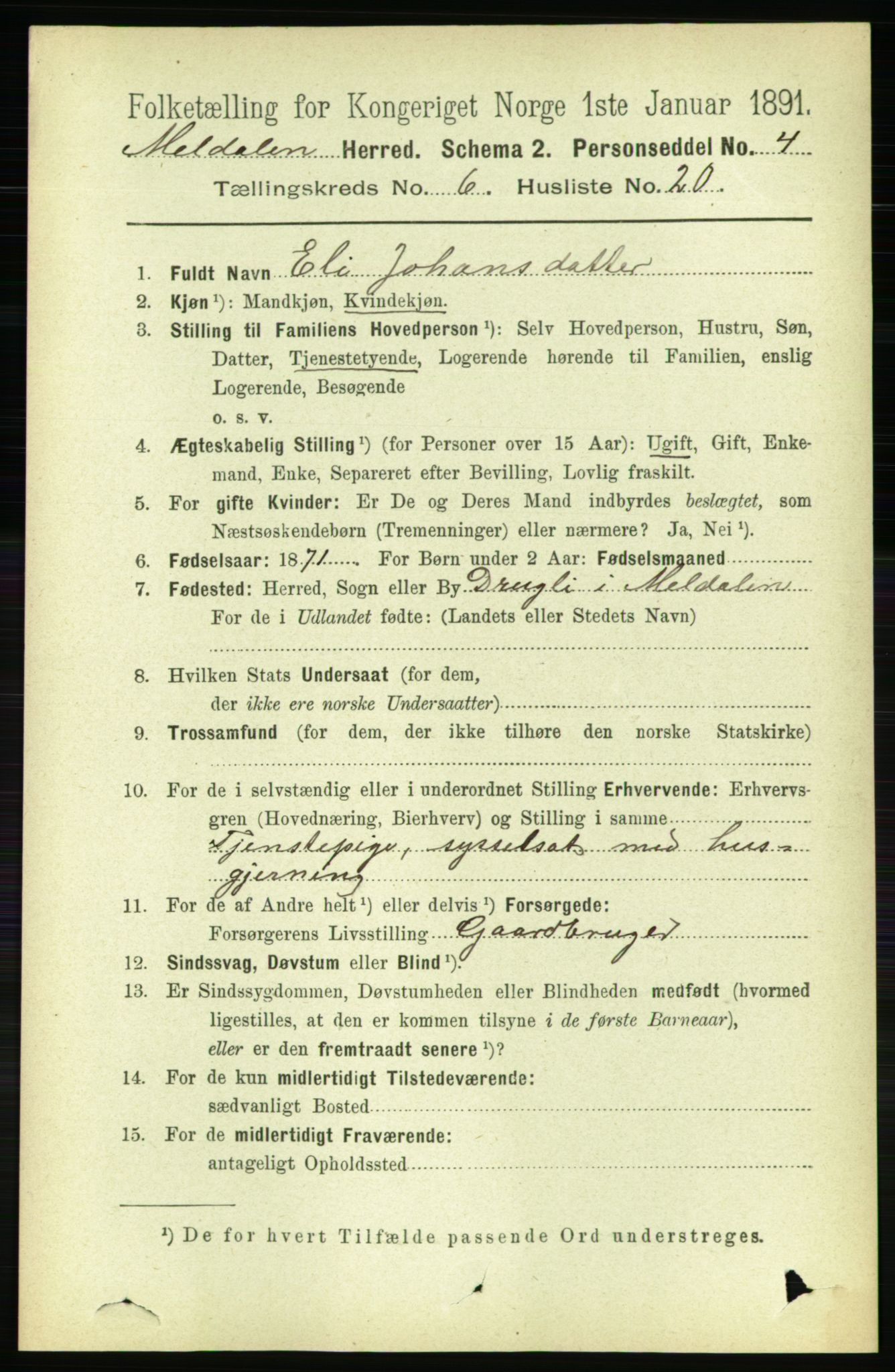 RA, 1891 census for 1636 Meldal, 1891, p. 2996