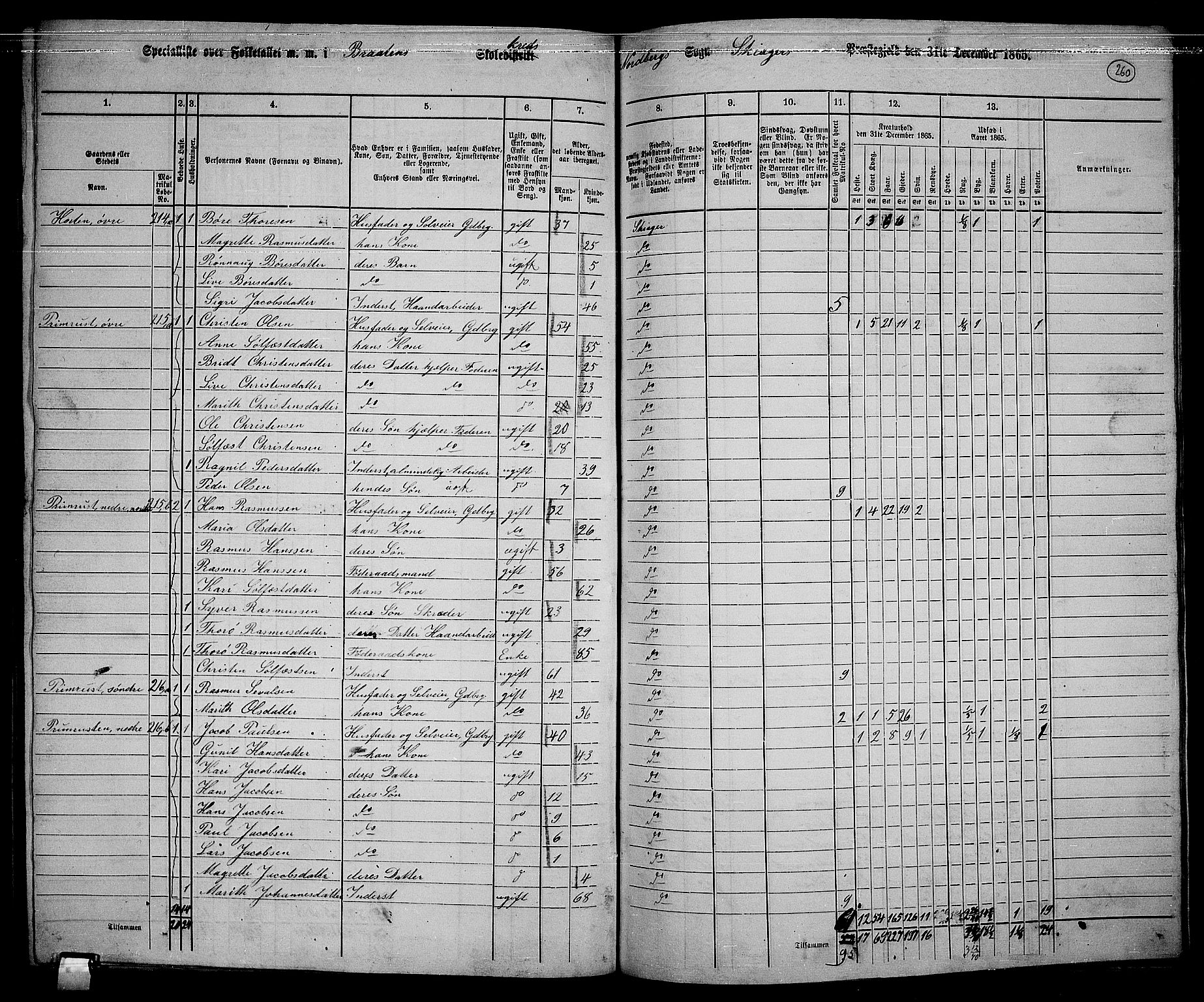 RA, 1865 census for Skjåk, 1865, p. 101