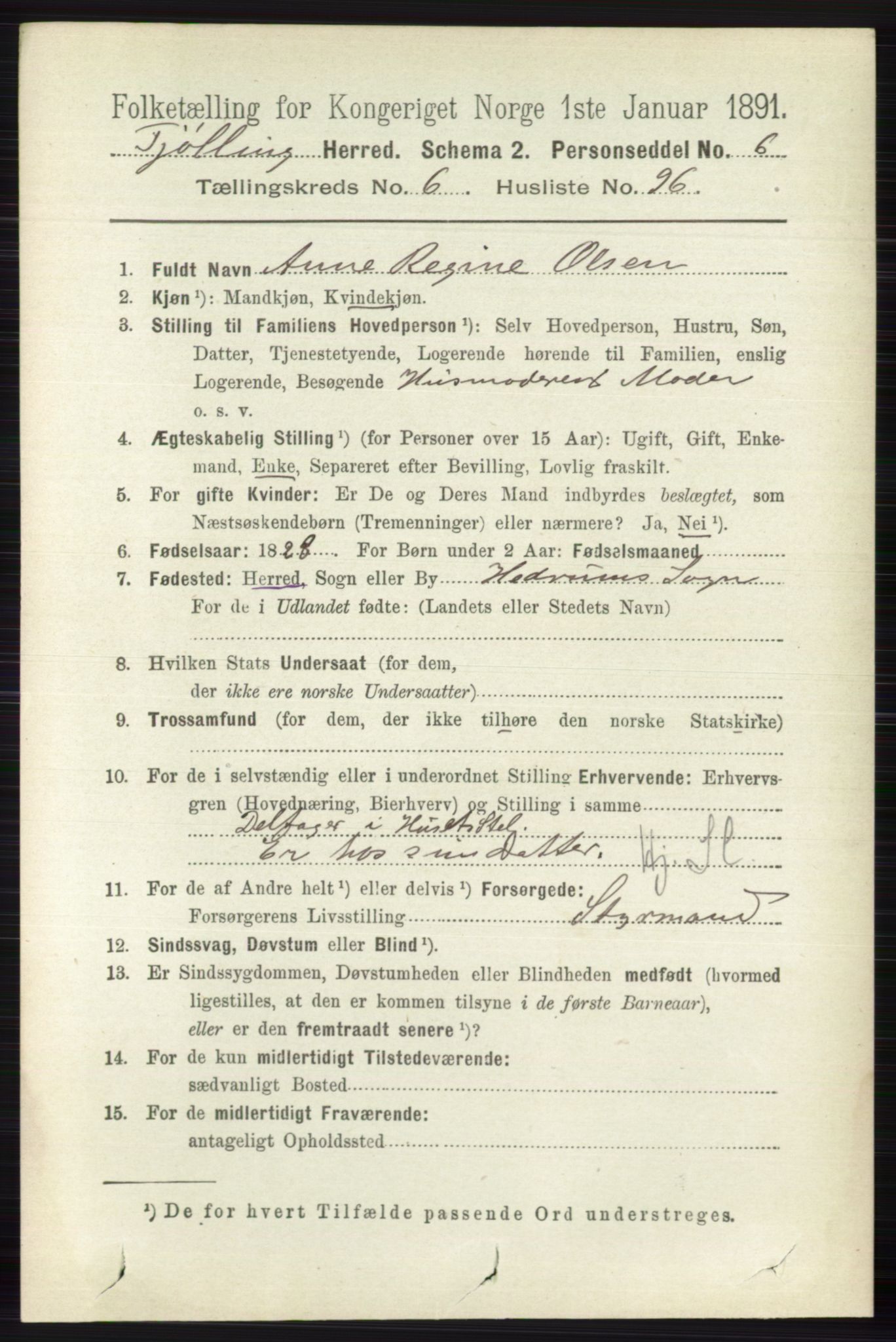 RA, 1891 census for 0725 Tjølling, 1891, p. 3541