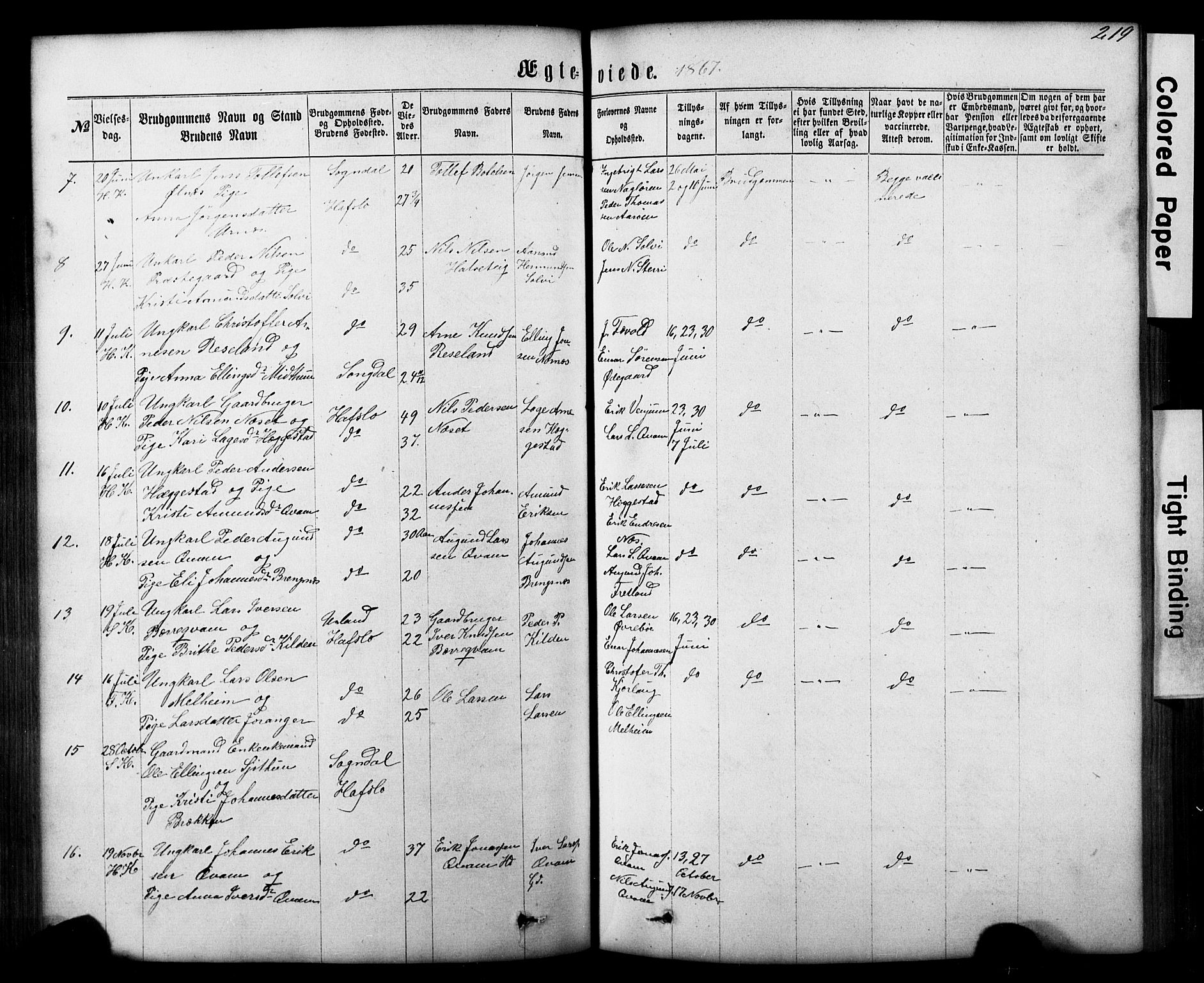 Hafslo sokneprestembete, SAB/A-80301/H/Hab/Haba/L0001: Parish register (copy) no. A 1, 1866-1908, p. 219