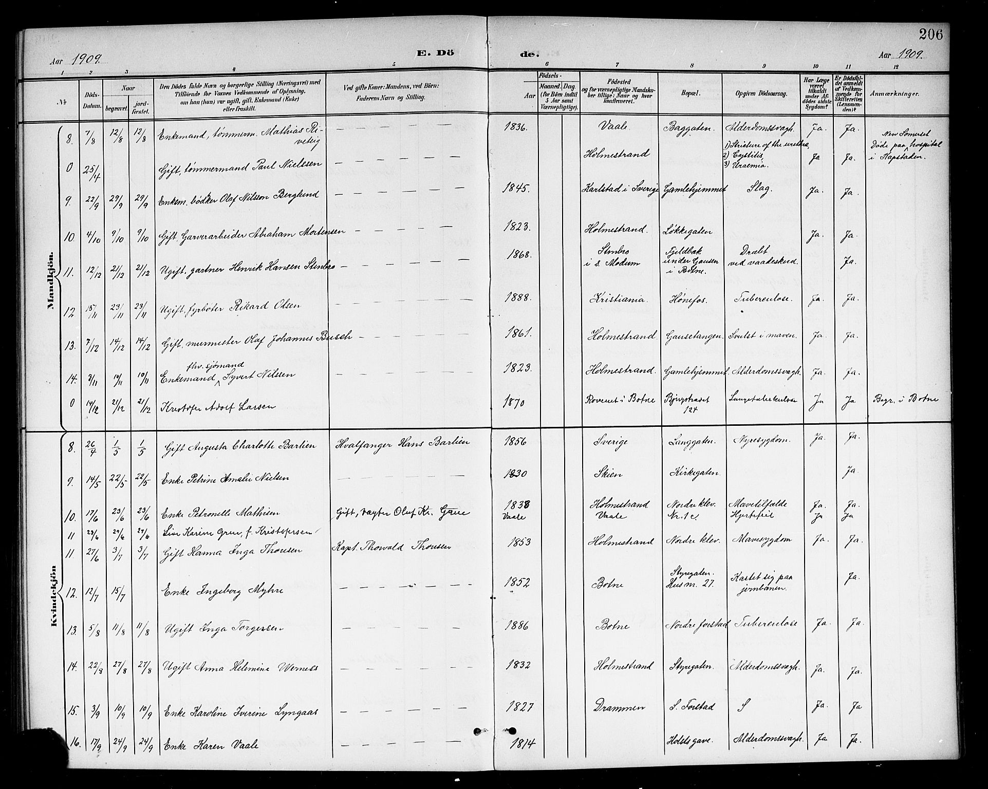 Holmestrand kirkebøker, AV/SAKO-A-346/G/Ga/L0006: Parish register (copy) no. 6, 1901-1923, p. 206