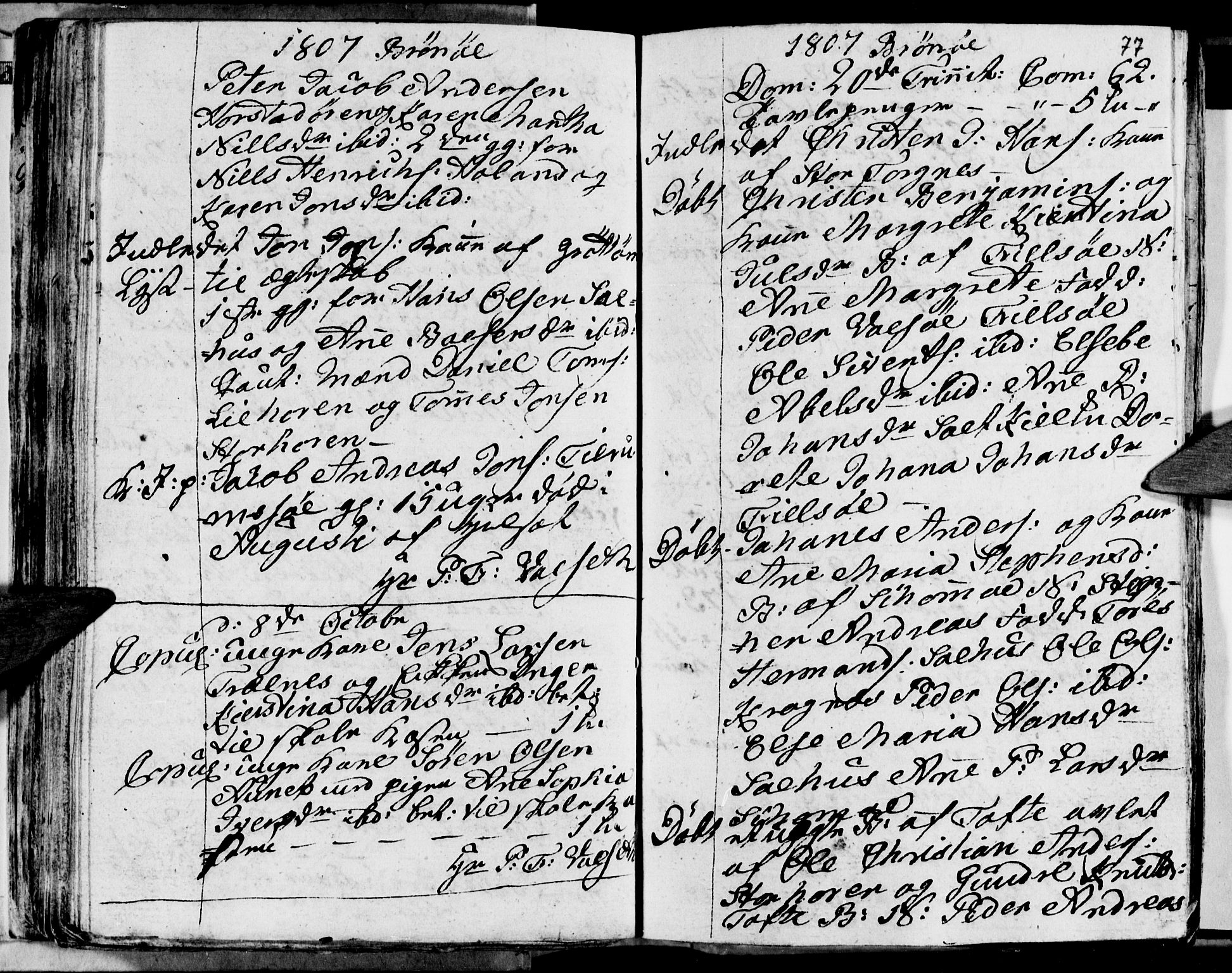 Ministerialprotokoller, klokkerbøker og fødselsregistre - Nordland, AV/SAT-A-1459/813/L0209: Parish register (copy) no. 813C01, 1803-1821, p. 77