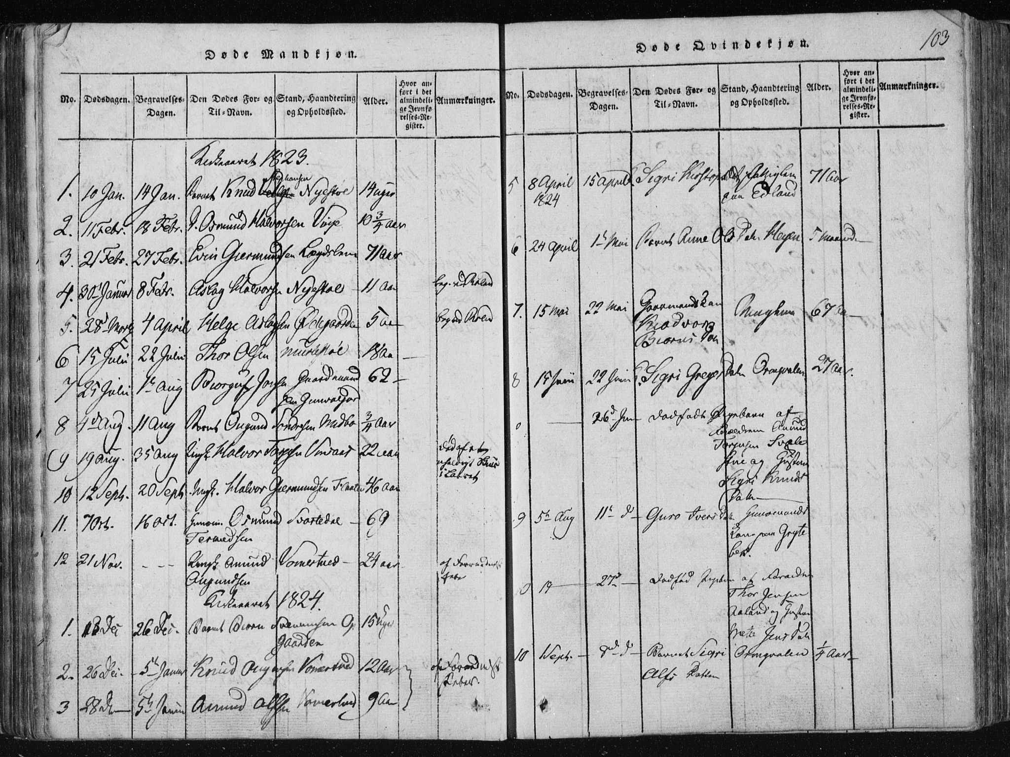 Vinje kirkebøker, SAKO/A-312/F/Fa/L0003: Parish register (official) no. I 3, 1814-1843, p. 103