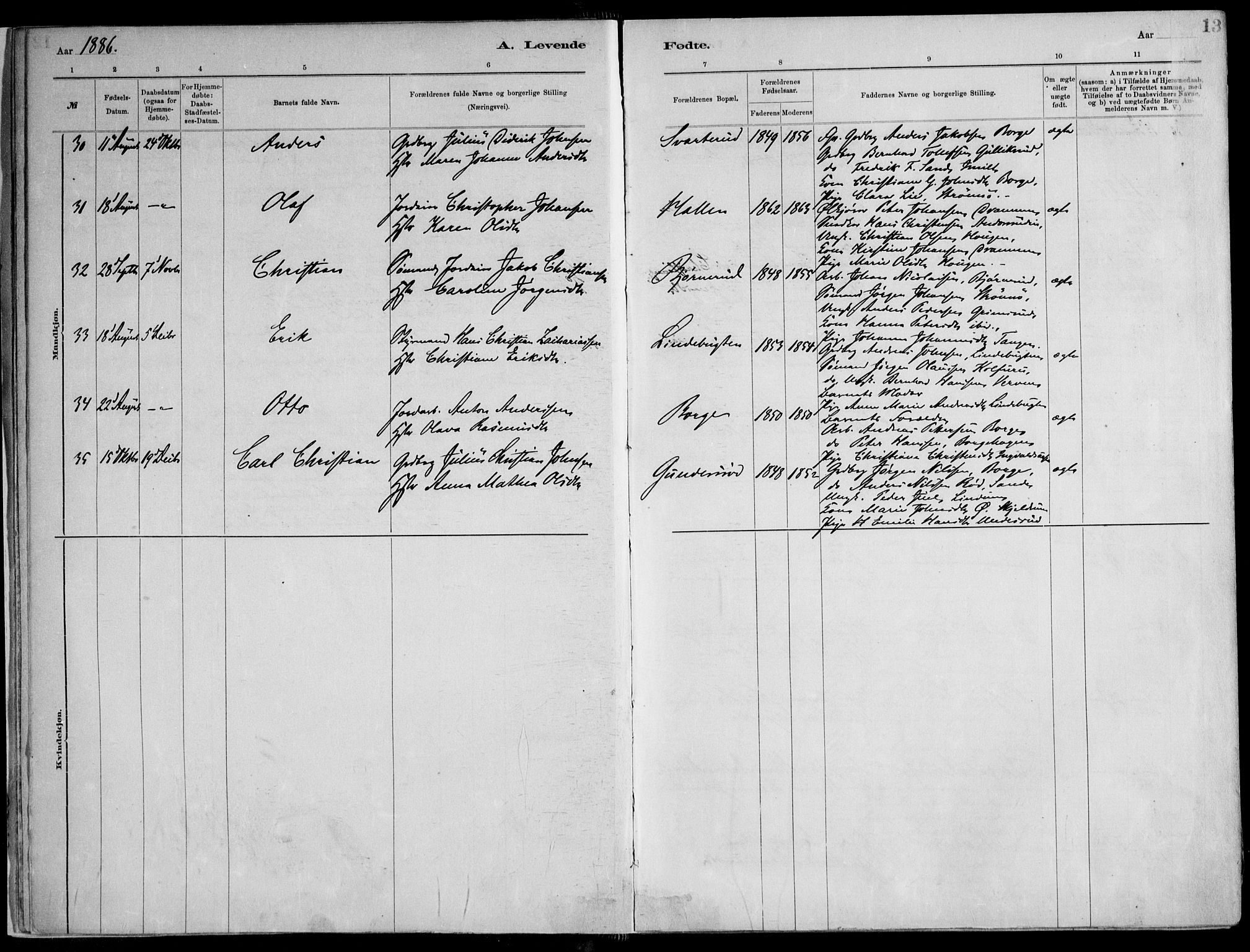 Skoger kirkebøker, AV/SAKO-A-59/F/Fa/L0006: Parish register (official) no. I 6, 1885-1910, p. 13