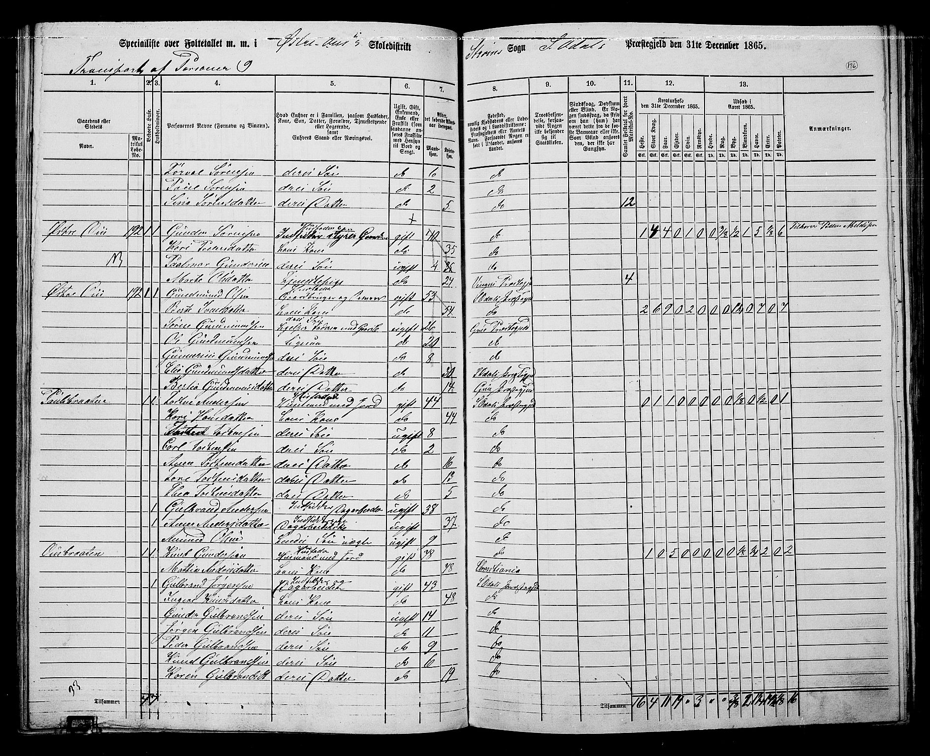 RA, 1865 census for Sør-Odal, 1865, p. 121