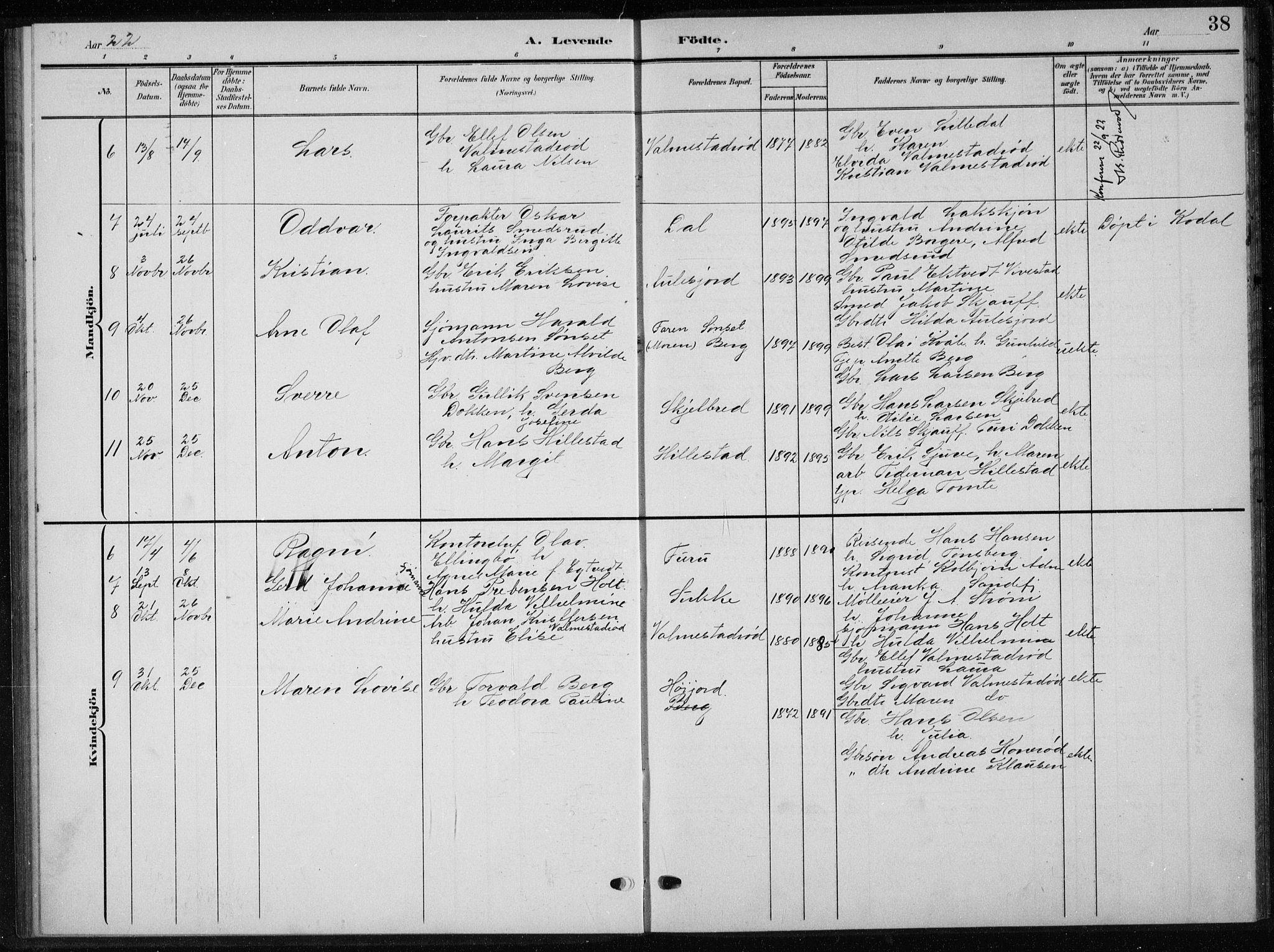 Andebu kirkebøker, AV/SAKO-A-336/G/Gb/L0001: Parish register (copy) no. II 1, 1901-1936, p. 38