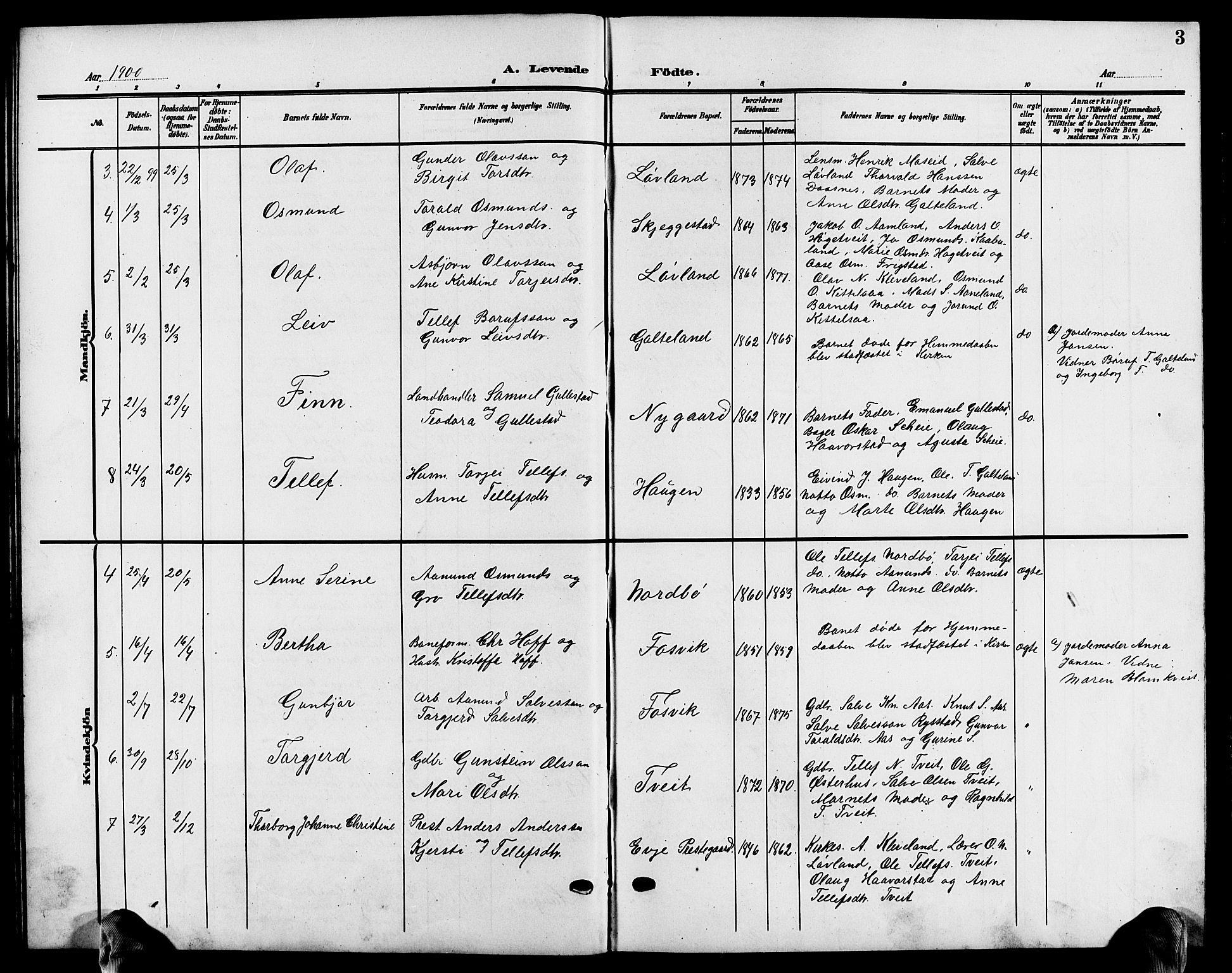 Evje sokneprestkontor, AV/SAK-1111-0008/F/Fb/Fba/L0004: Parish register (copy) no. B 4, 1899-1914, p. 3