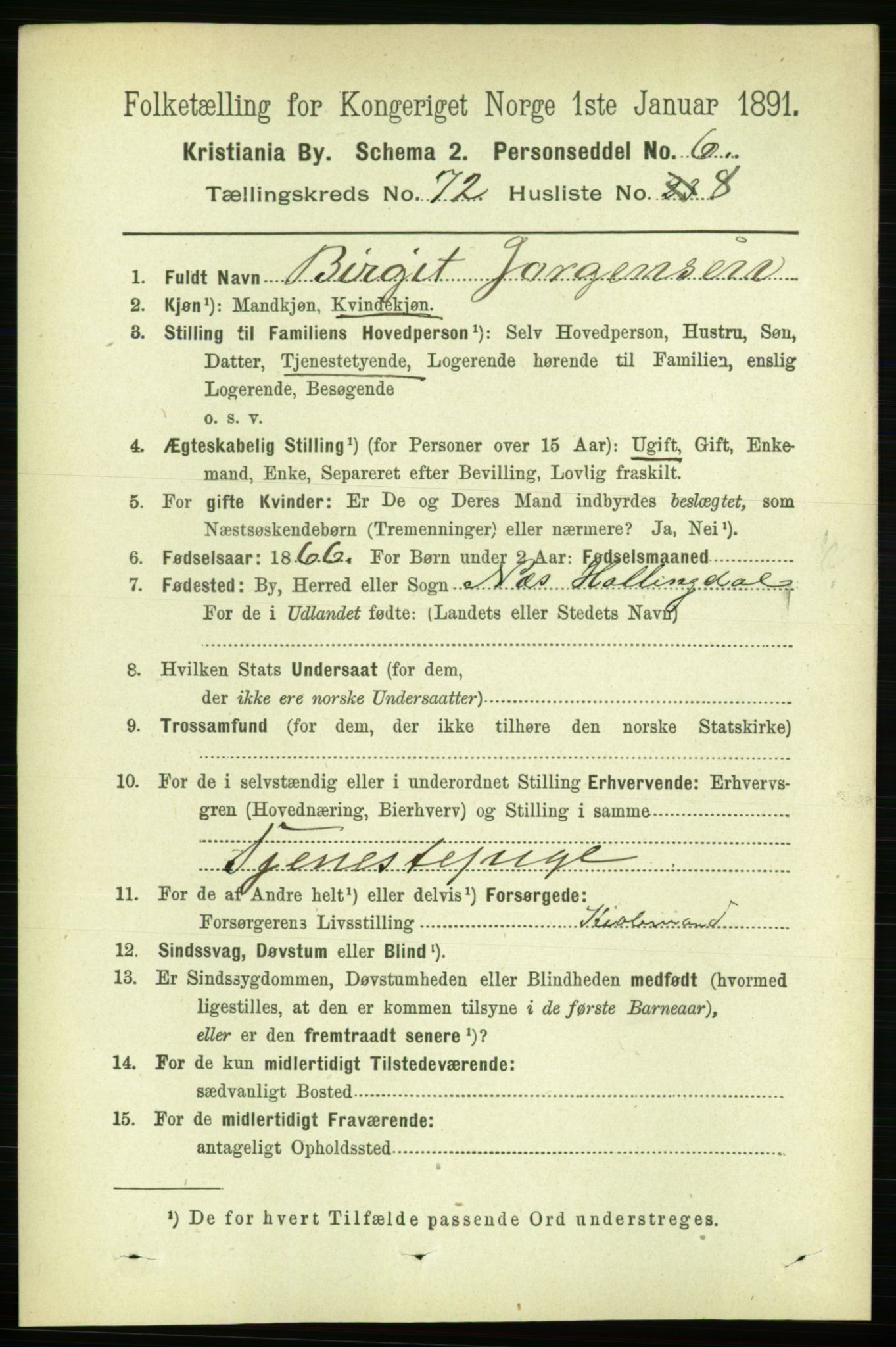 RA, 1891 census for 0301 Kristiania, 1891, p. 39316