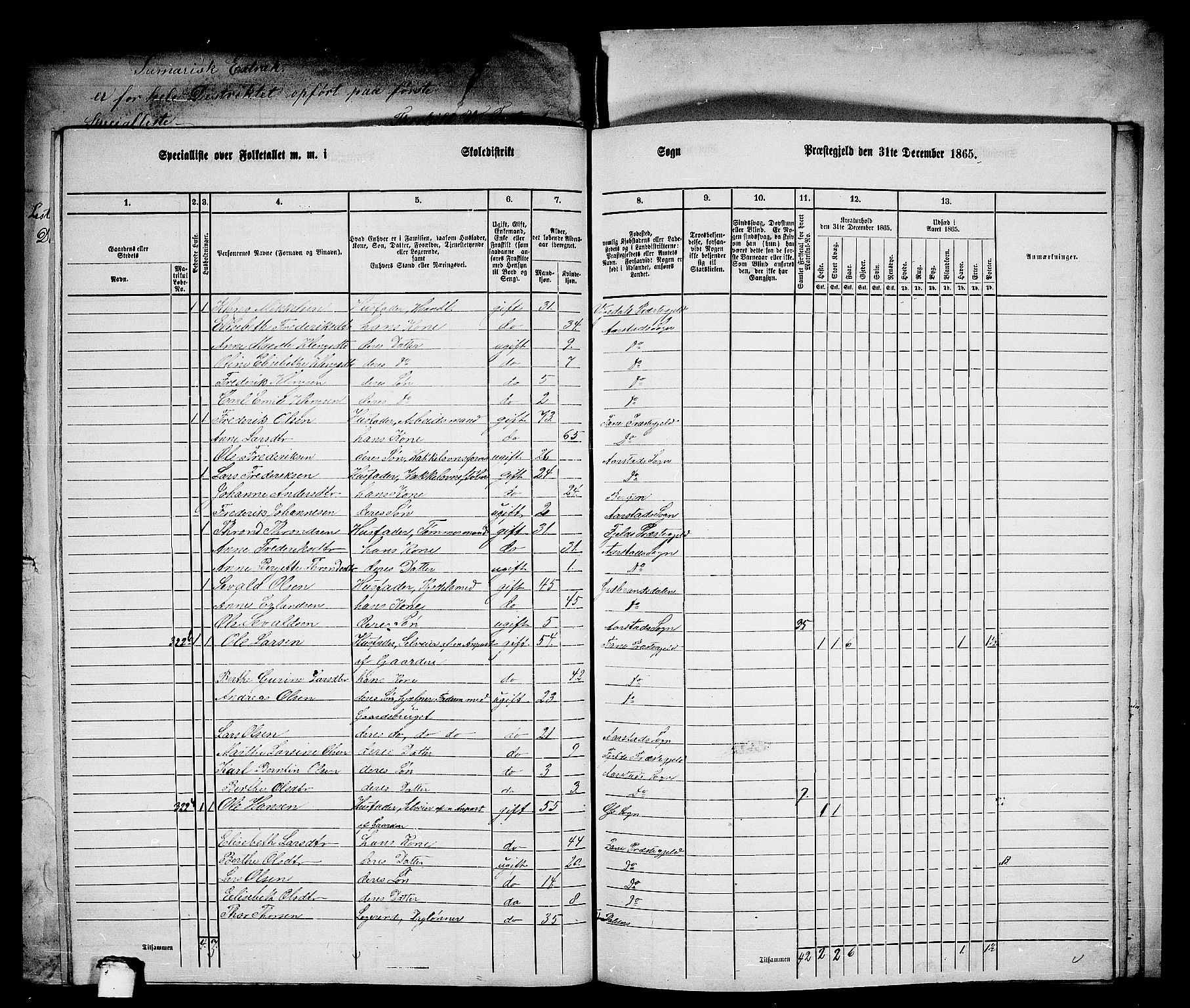 RA, 1865 census for St. Jørgens Hospital/Årstad, 1865, p. 33