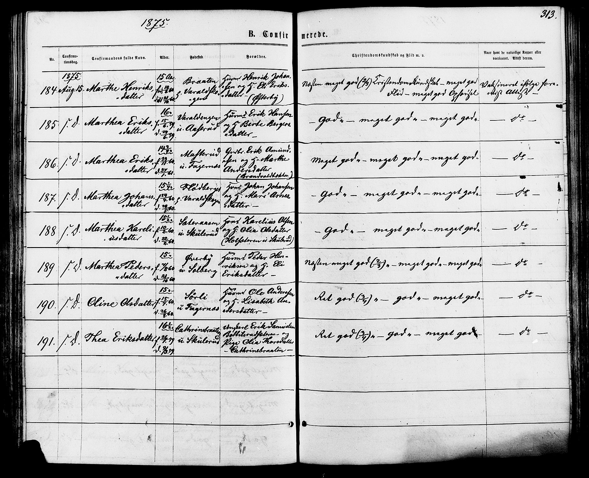 Vinger prestekontor, SAH/PREST-024/H/Ha/Haa/L0012: Parish register (official) no. 12, 1871-1880, p. 313
