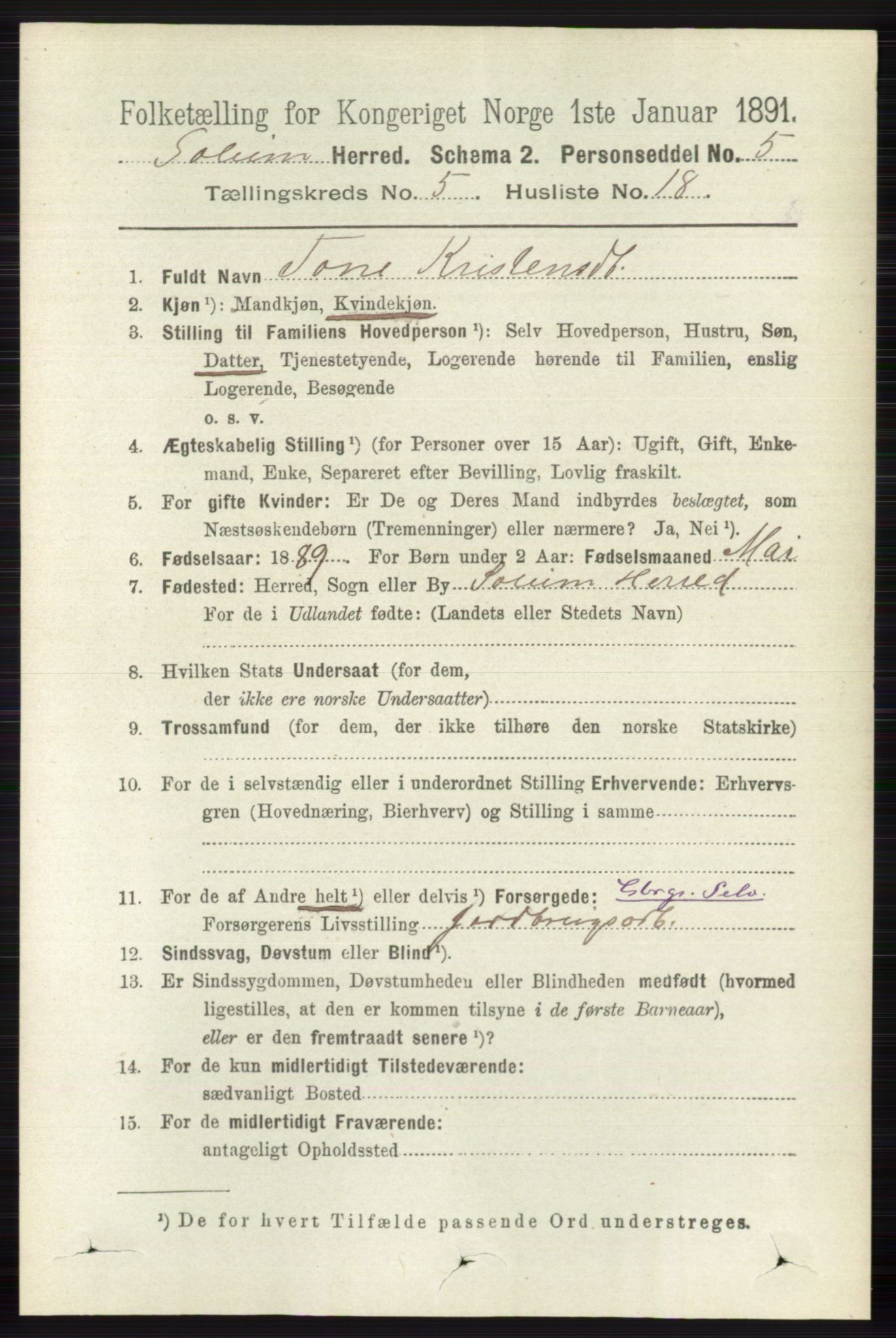 RA, 1891 census for 0818 Solum, 1891, p. 945