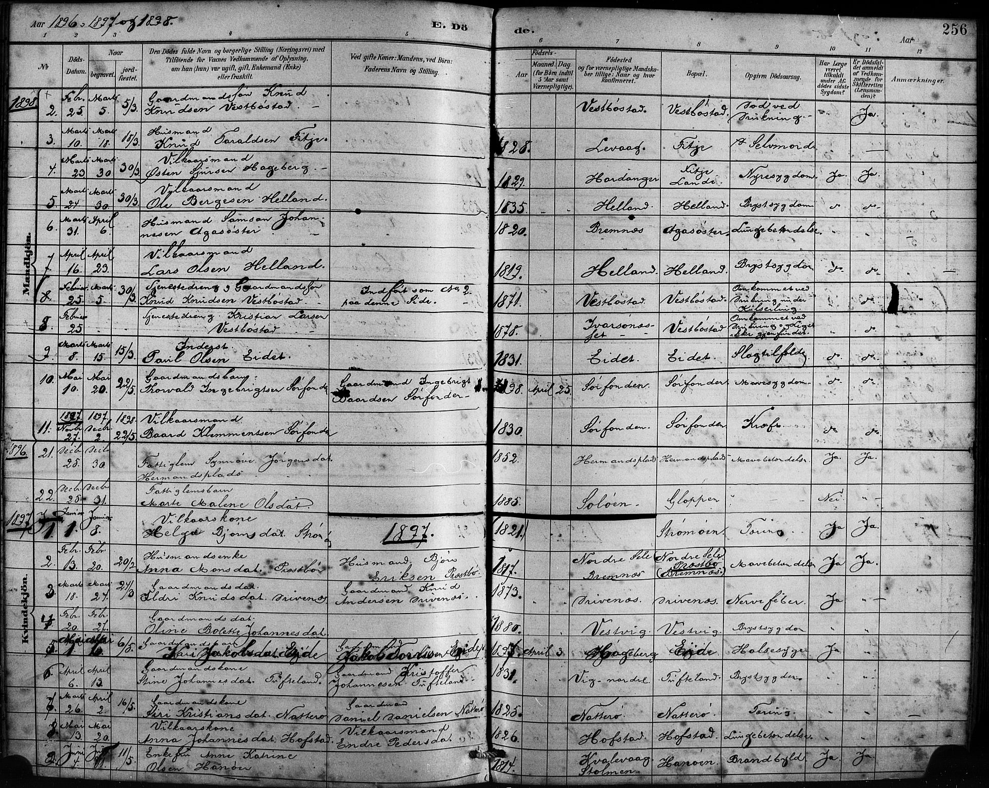 Fitjar sokneprestembete, SAB/A-99926: Parish register (official) no. A 2, 1882-1899, p. 256