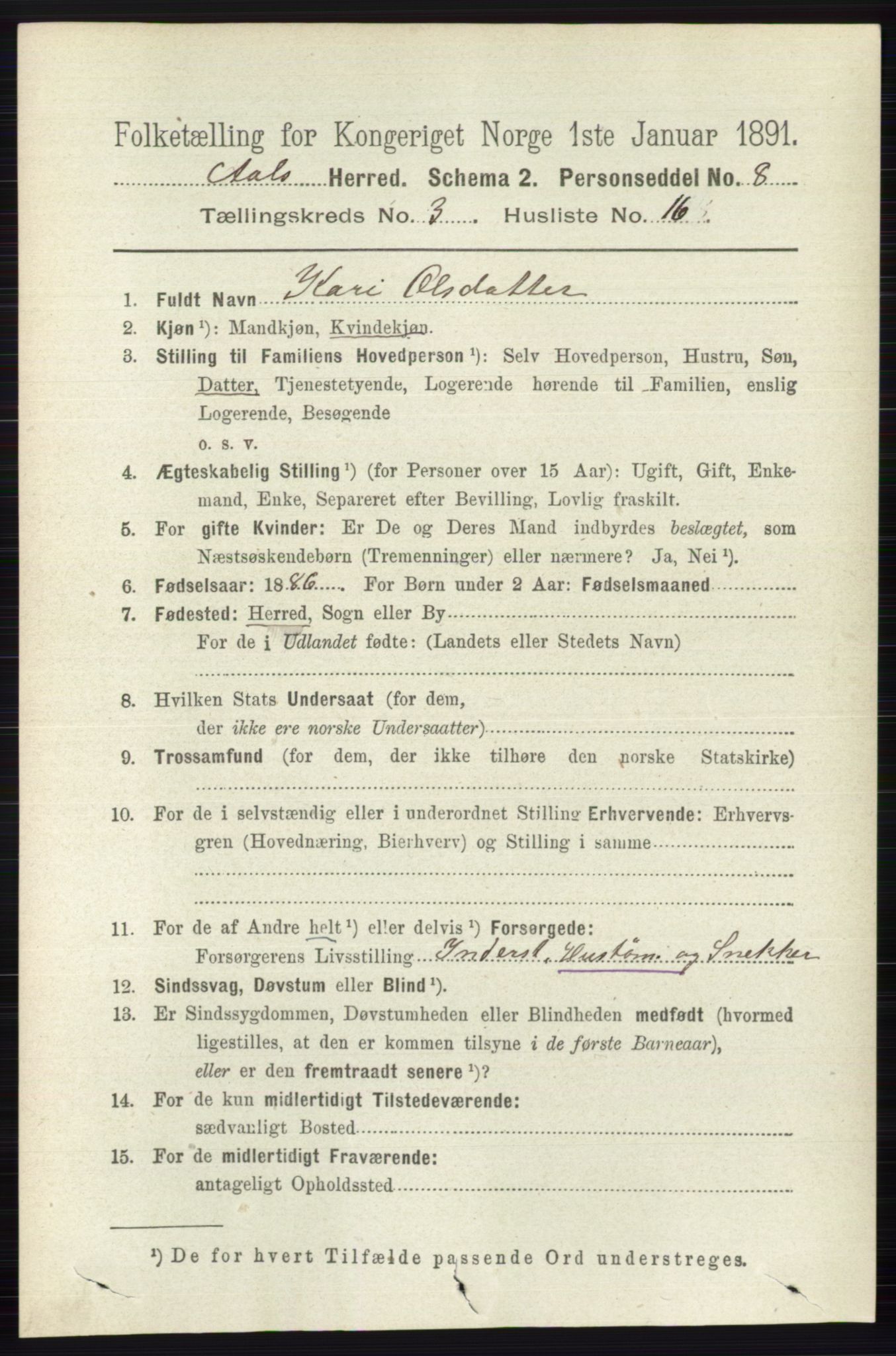 RA, 1891 census for 0619 Ål, 1891, p. 751