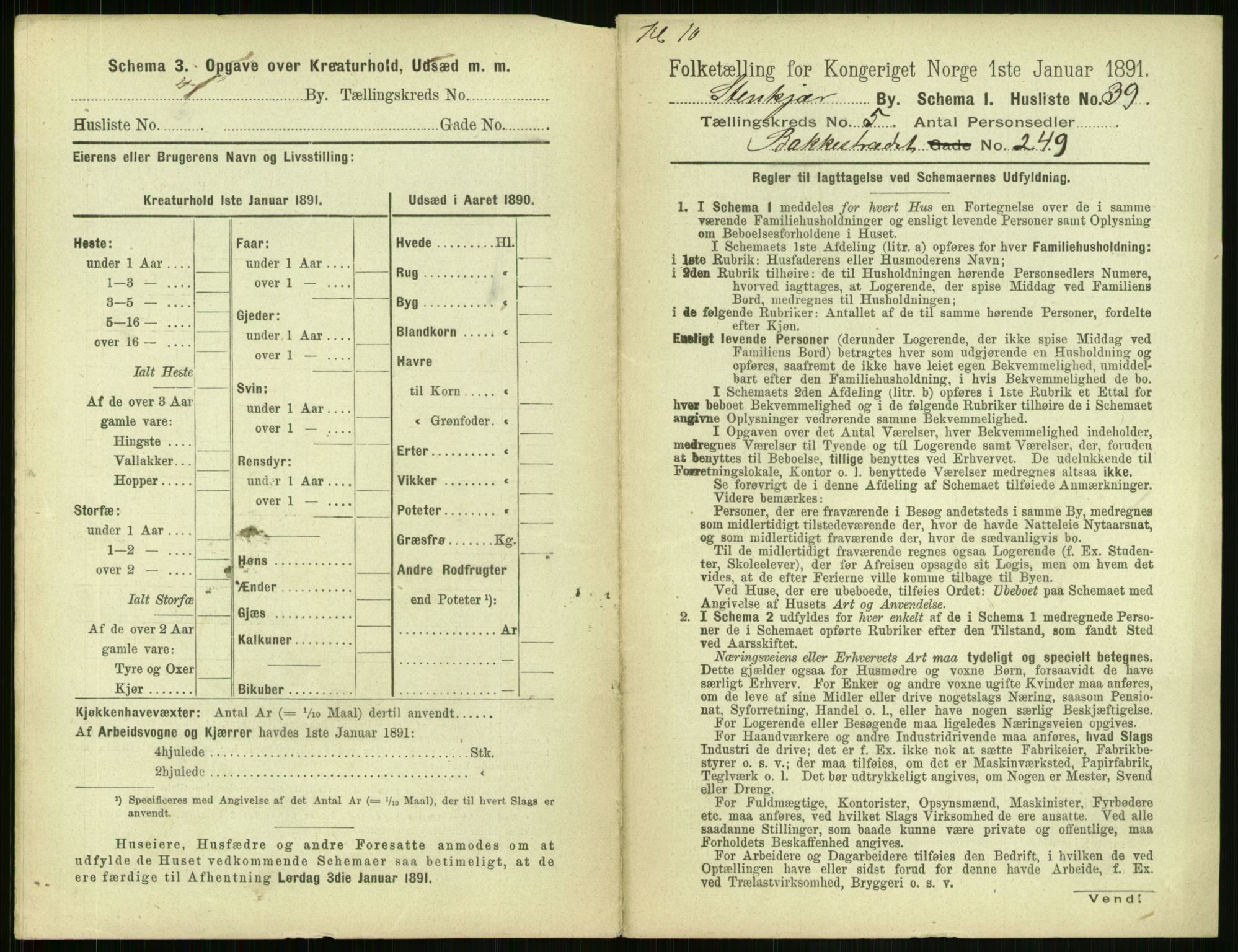 RA, 1891 census for 1702 Steinkjer, 1891, p. 1795