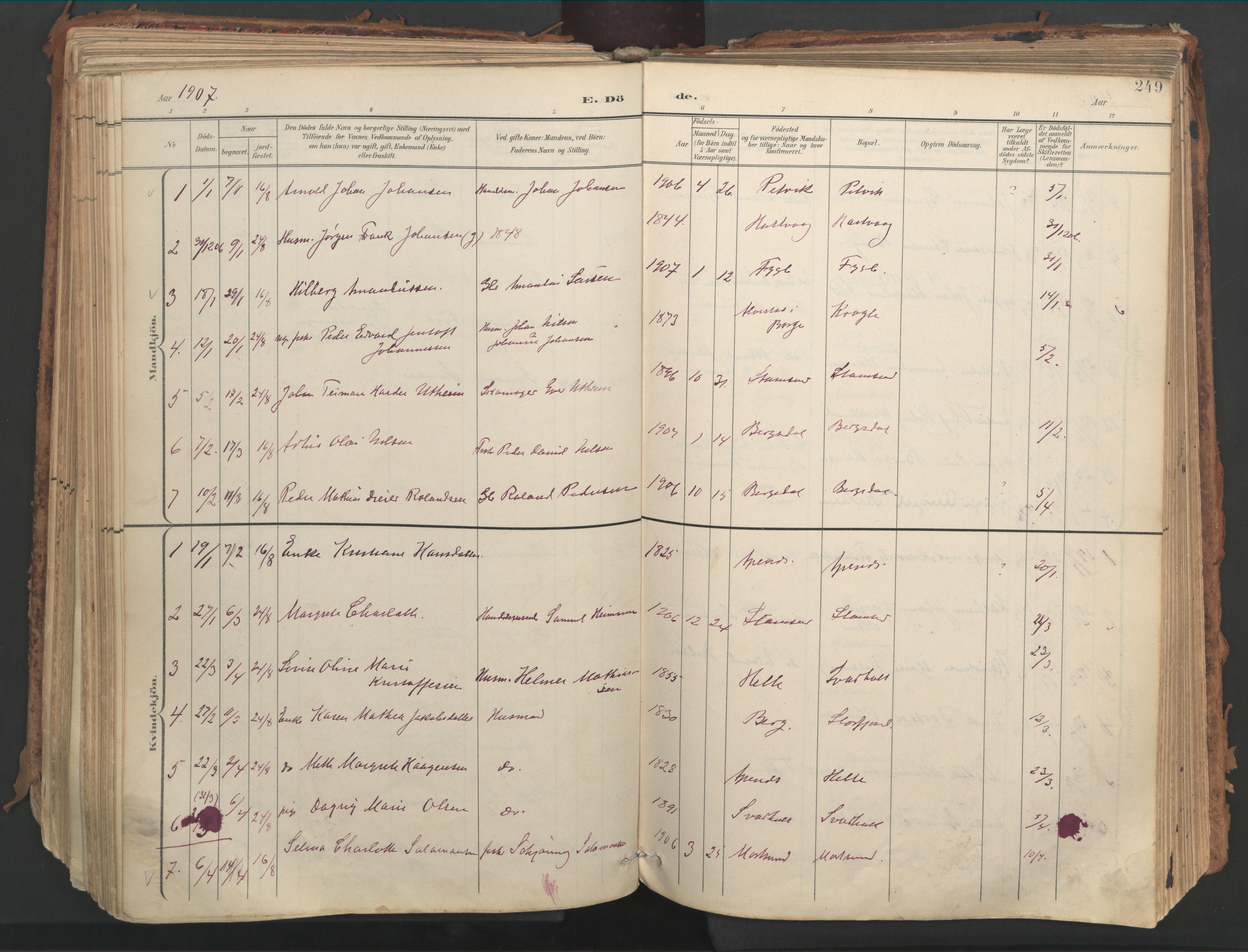 Ministerialprotokoller, klokkerbøker og fødselsregistre - Nordland, AV/SAT-A-1459/882/L1180: Parish register (official) no. 882A02, 1897-1913, p. 249