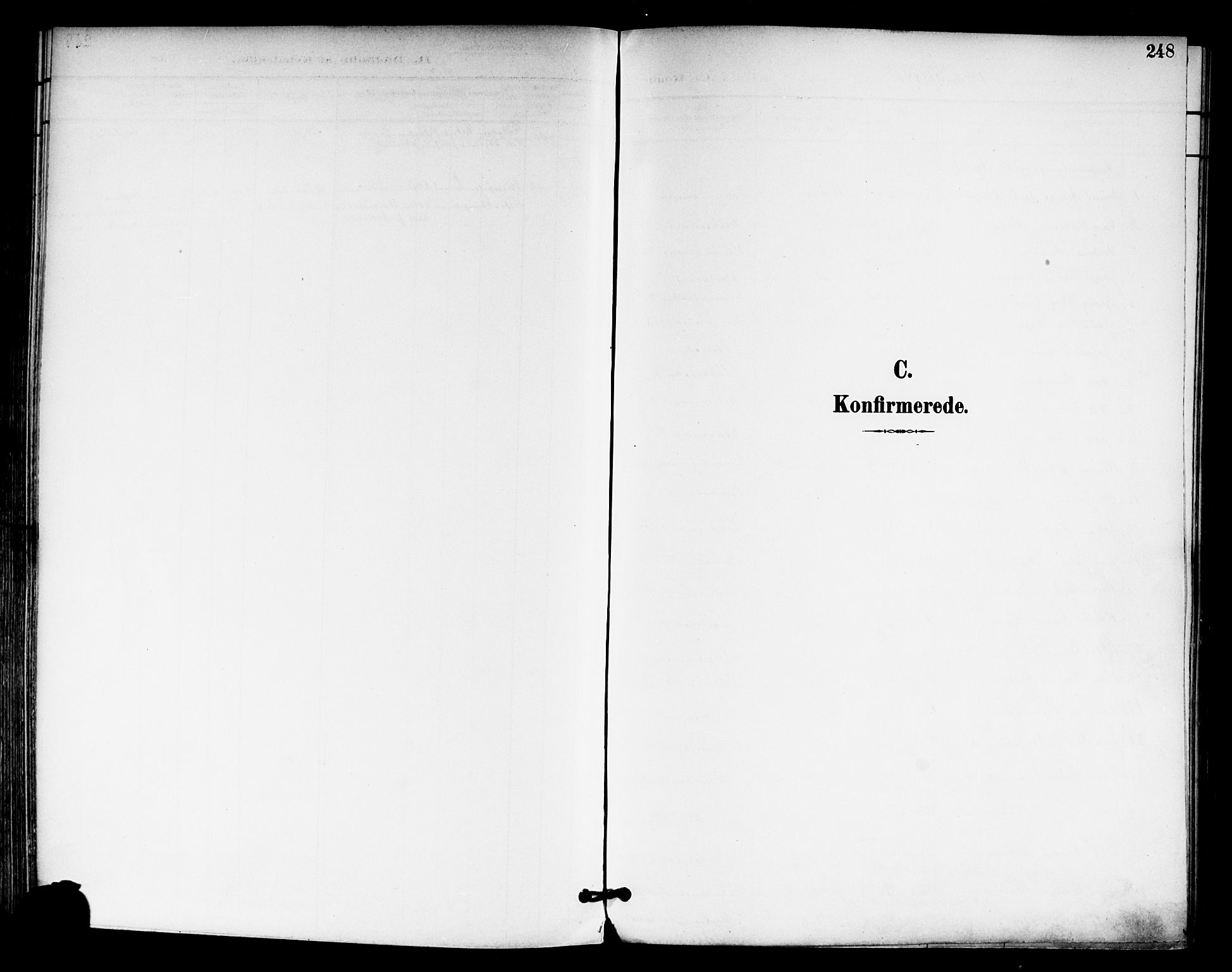 Moss prestekontor Kirkebøker, SAO/A-2003/F/Fb/L0003: Parish register (official) no. II 3, 1894-1901, p. 248