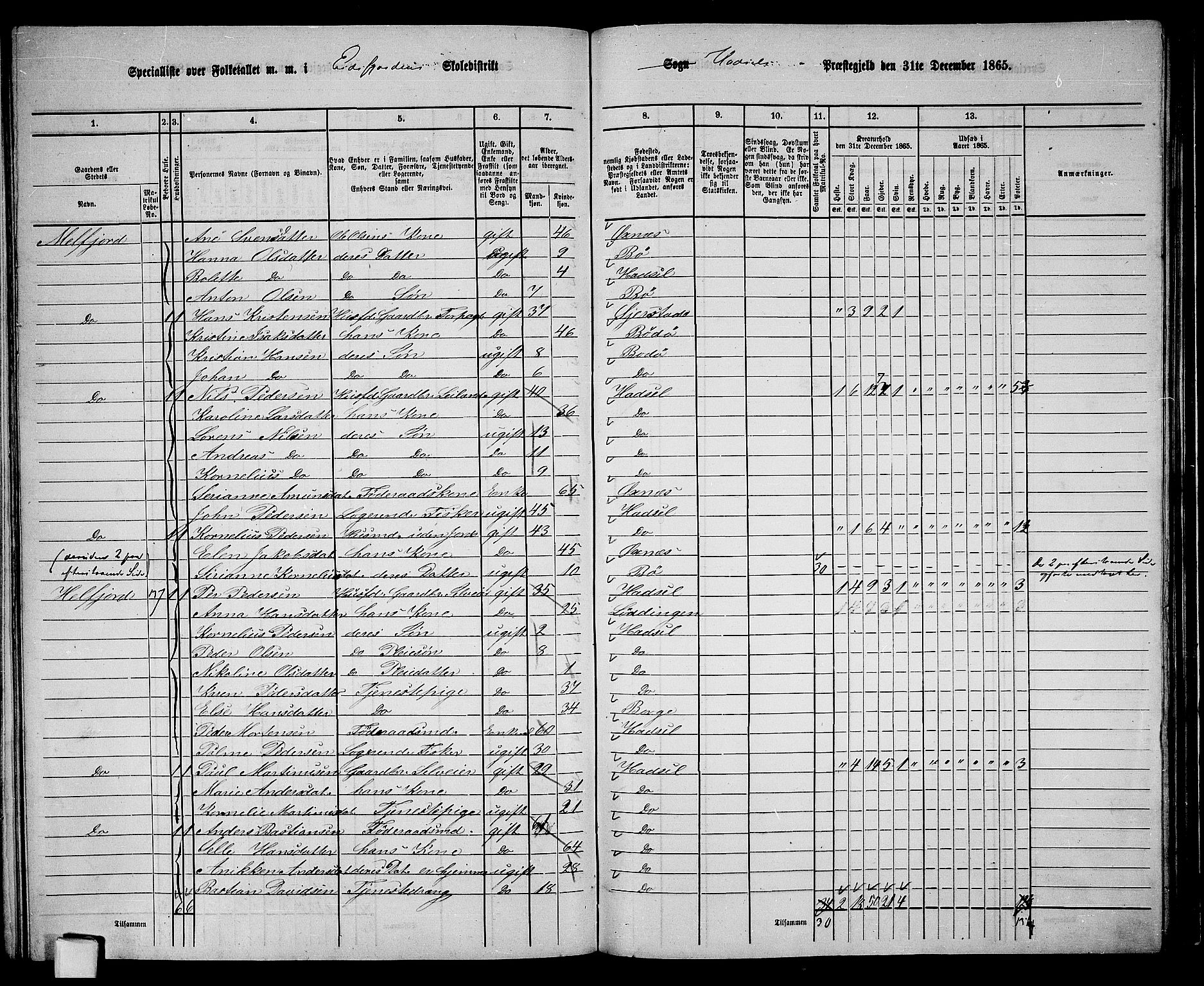 RA, 1865 census for Hadsel, 1865, p. 126