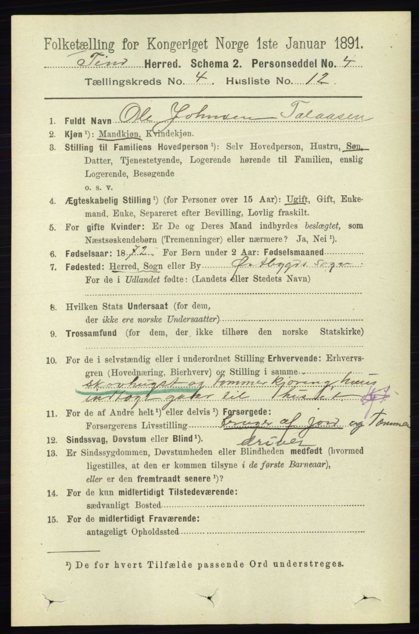 RA, 1891 census for 0826 Tinn, 1891, p. 790