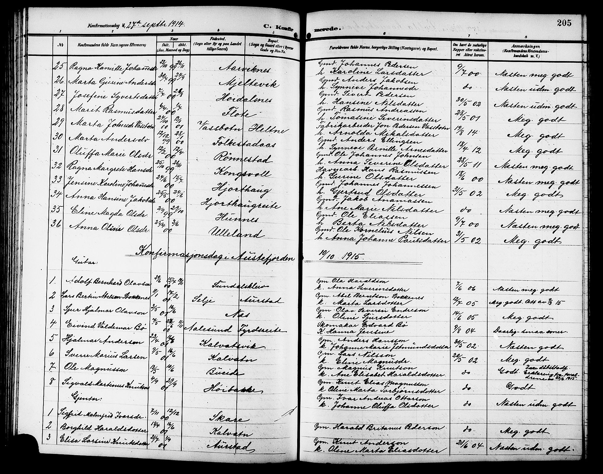 Ministerialprotokoller, klokkerbøker og fødselsregistre - Møre og Romsdal, SAT/A-1454/511/L0159: Parish register (copy) no. 511C05, 1902-1920, p. 205