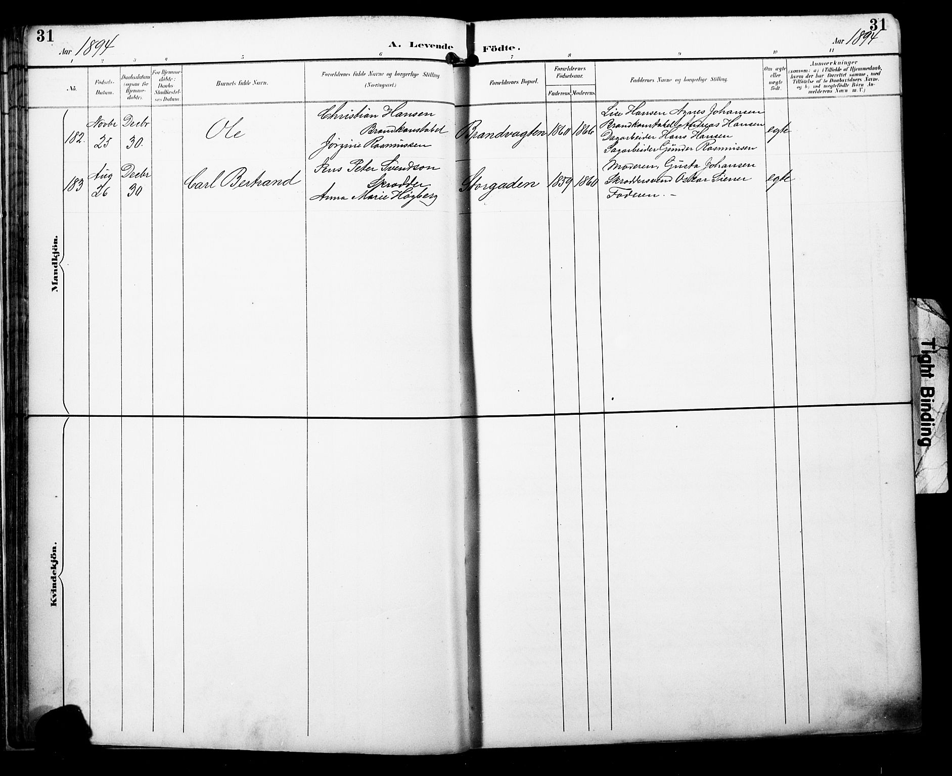 Bragernes kirkebøker, SAKO/A-6/F/Fb/L0008: Parish register (official) no. II 8, 1894-1902, p. 31