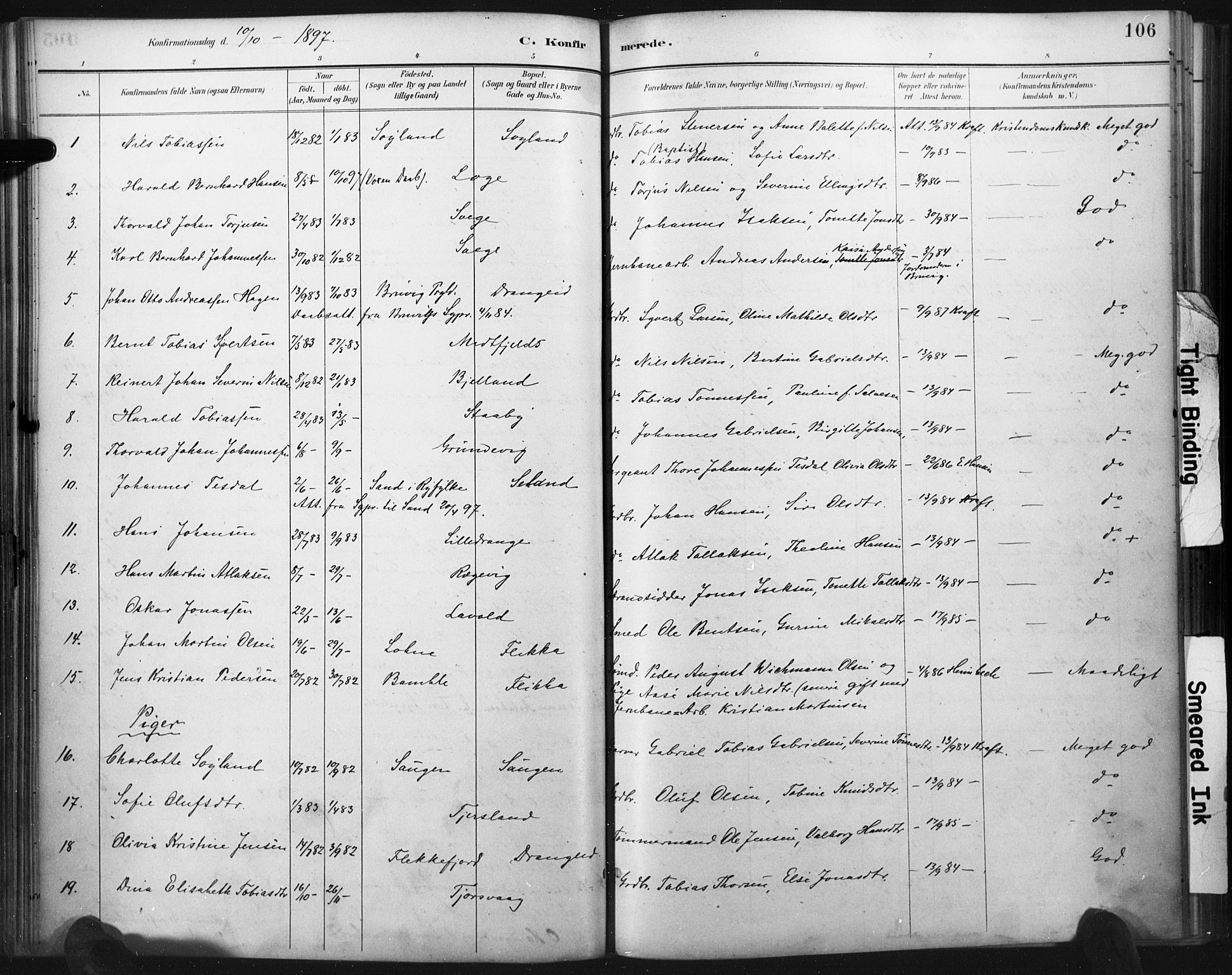 Flekkefjord sokneprestkontor, AV/SAK-1111-0012/F/Fa/Fac/L0008: Parish register (official) no. A 8, 1885-1898, p. 106