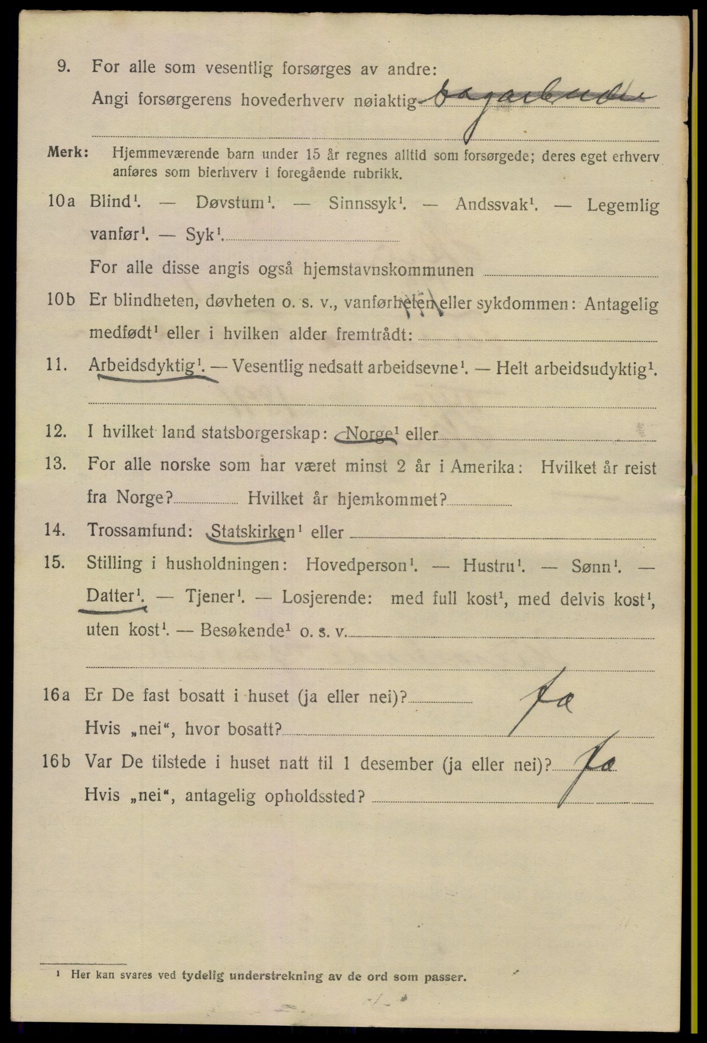 SAKO, 1920 census for Skien, 1920, p. 19487