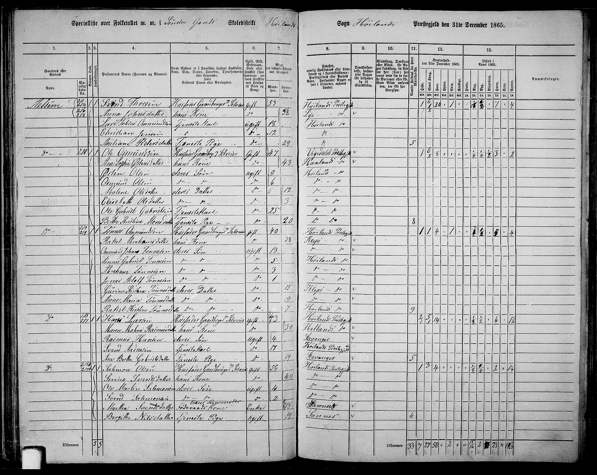 RA, 1865 census for Høyland, 1865, p. 43