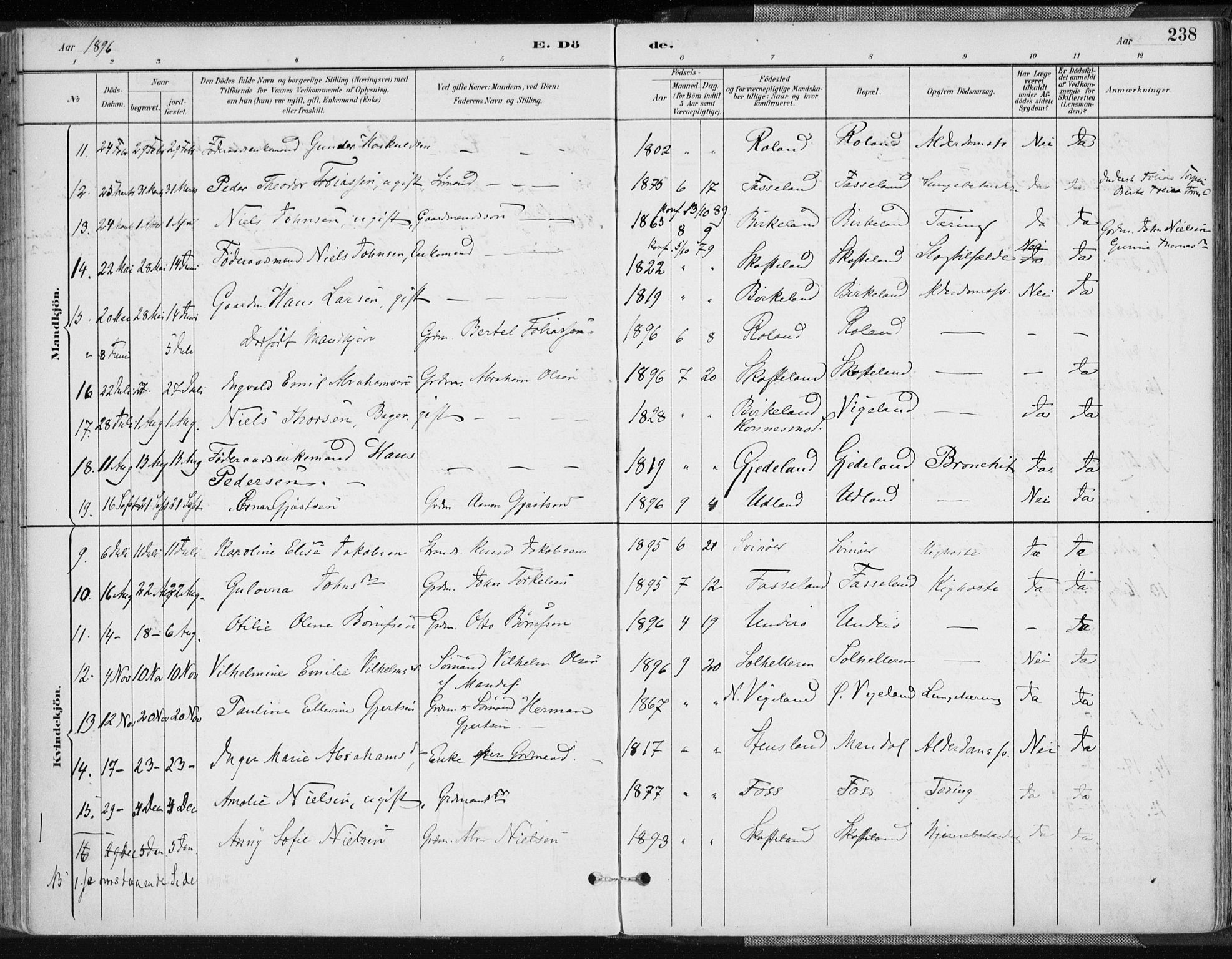 Sør-Audnedal sokneprestkontor, AV/SAK-1111-0039/F/Fa/Fab/L0010: Parish register (official) no. A 10, 1892-1913, p. 238