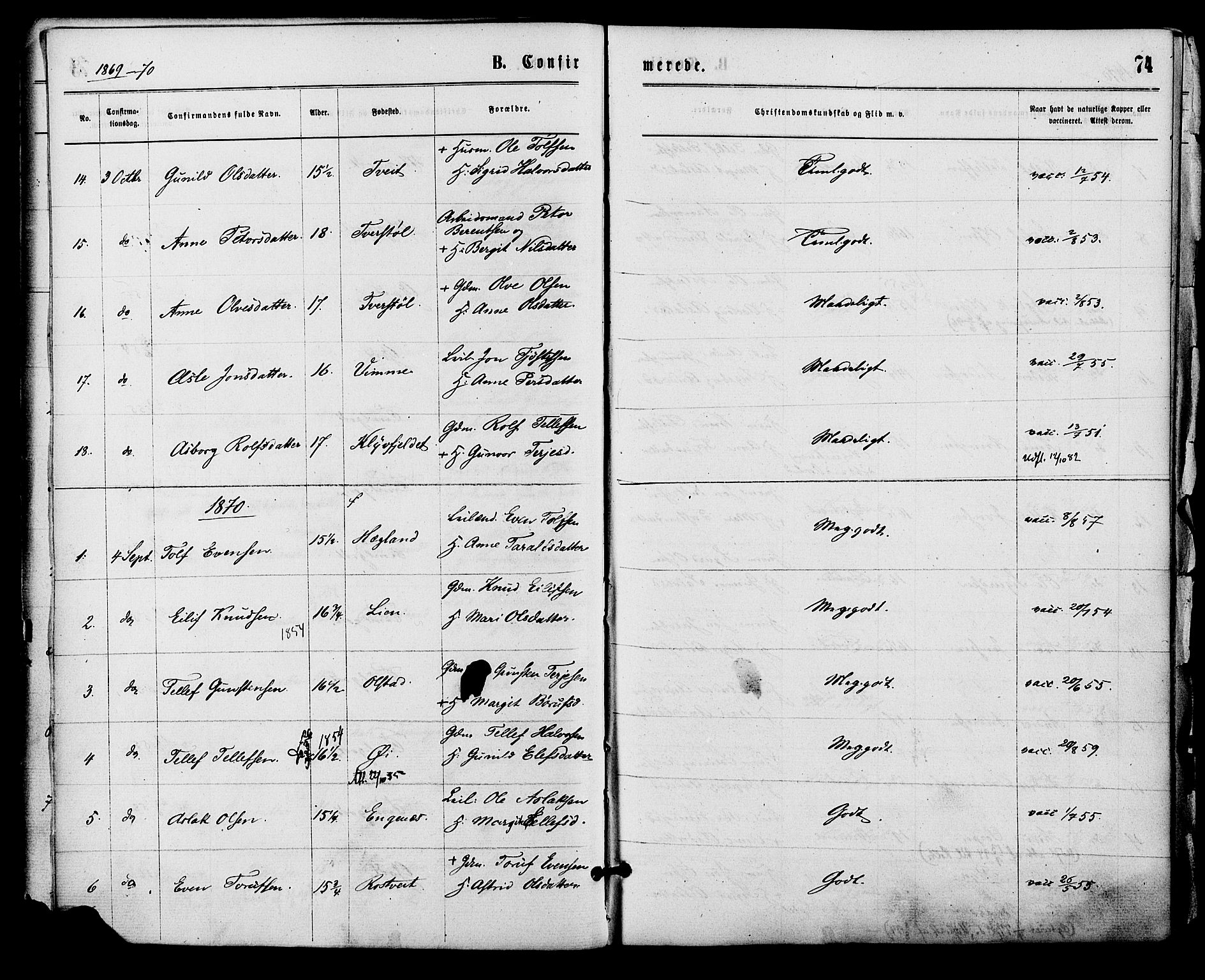 Åmli sokneprestkontor, AV/SAK-1111-0050/F/Fa/Fac/L0009: Parish register (official) no. A 9 /1, 1869-1884, p. 74