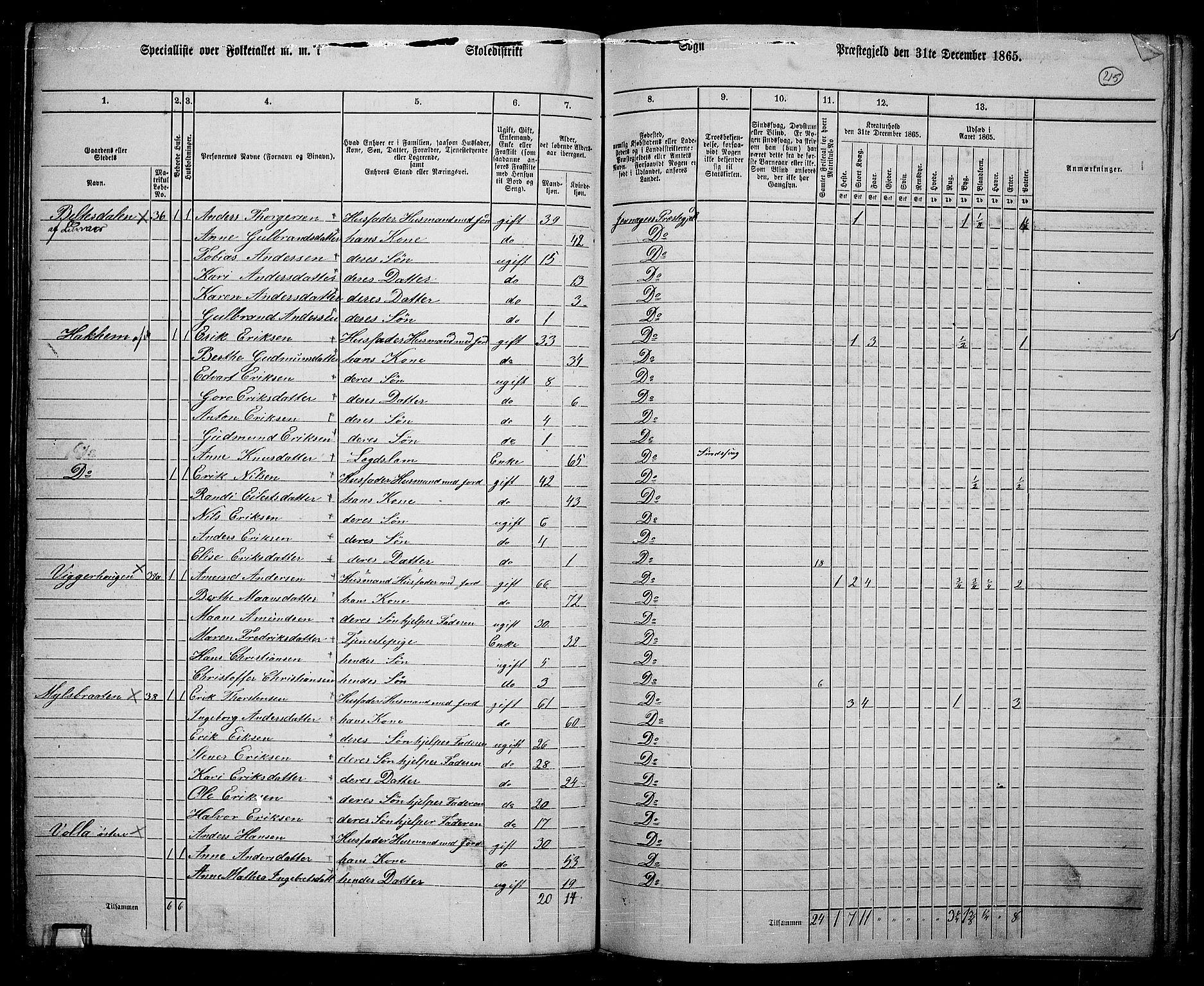 RA, 1865 census for Jevnaker, 1865, p. 199