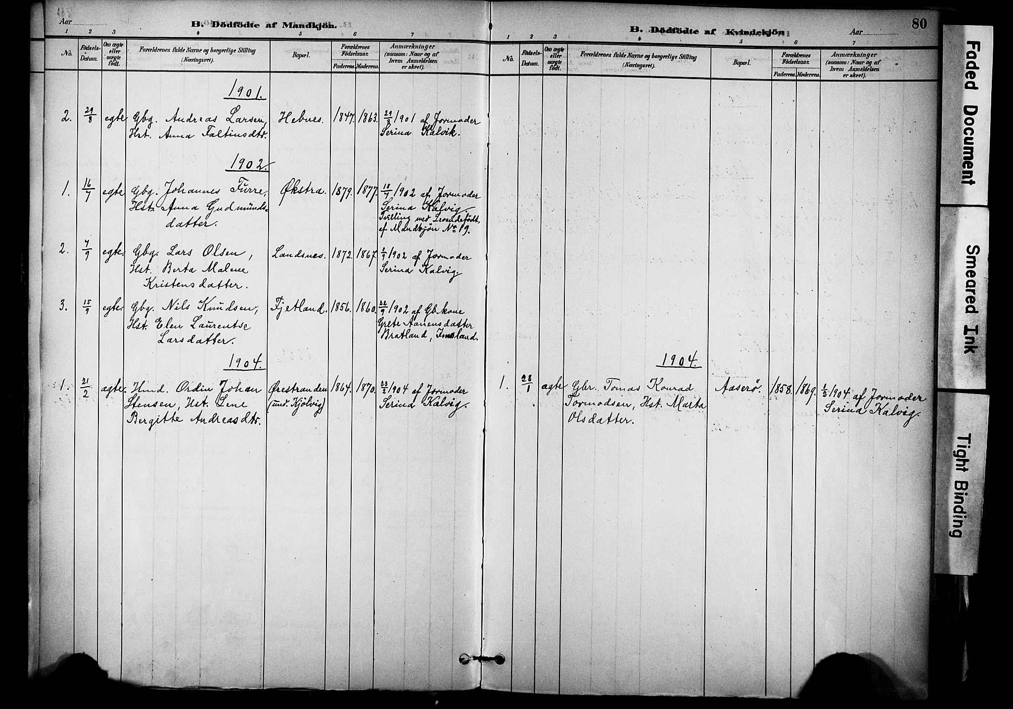 Jelsa sokneprestkontor, SAST/A-101842/01/IV: Parish register (official) no. A 10, 1884-1906, p. 80