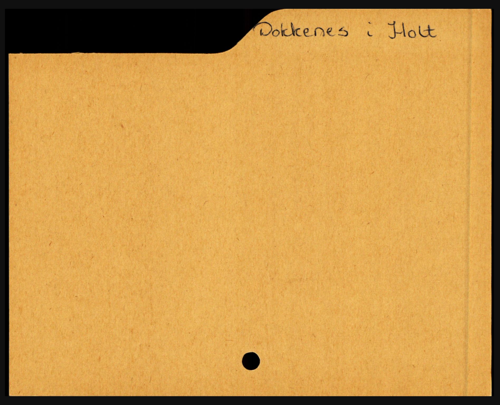 Holt sorenskriveri, AV/SAK-1221-0002/H, p. 315