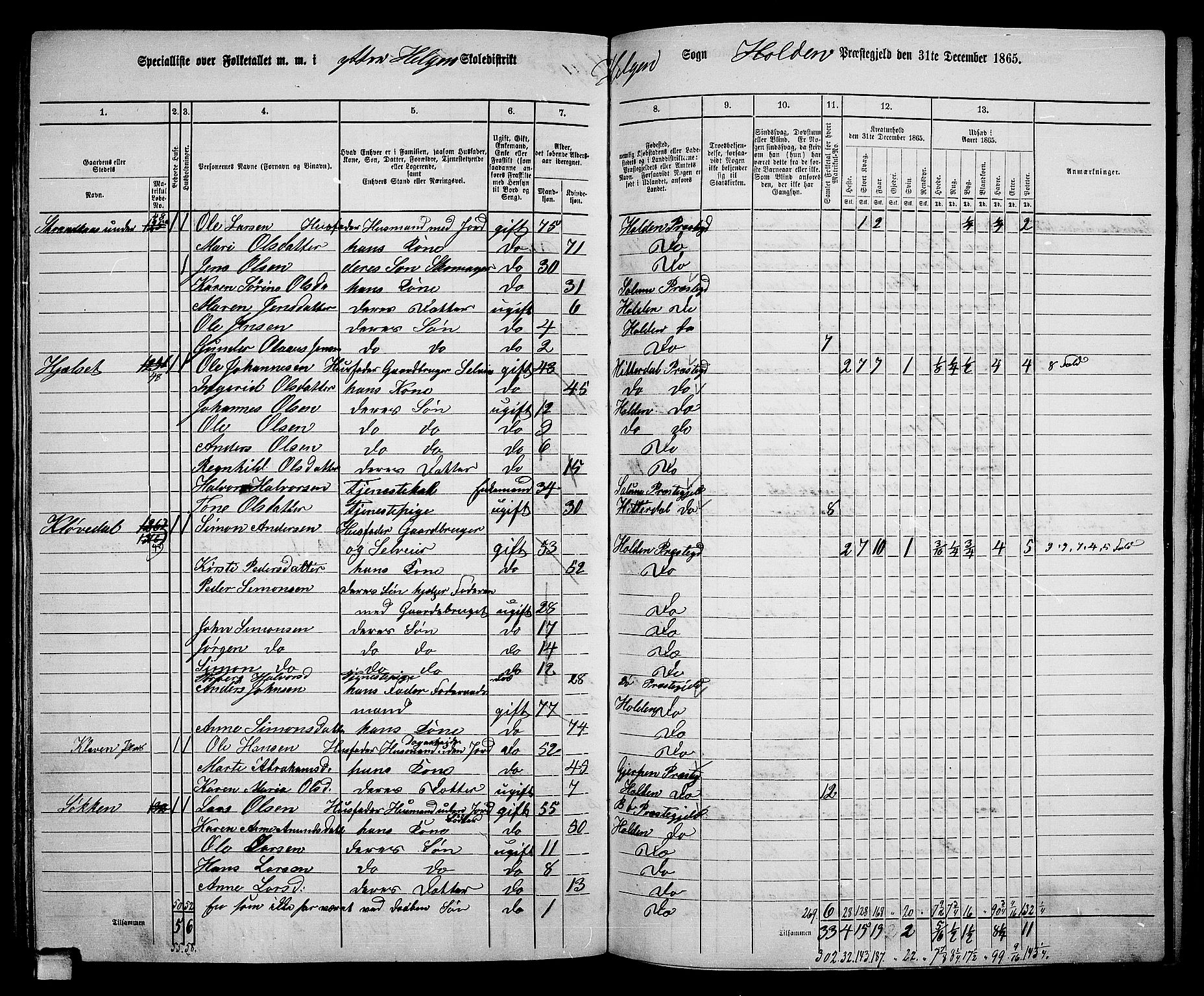 RA, 1865 census for Holla, 1865, p. 111