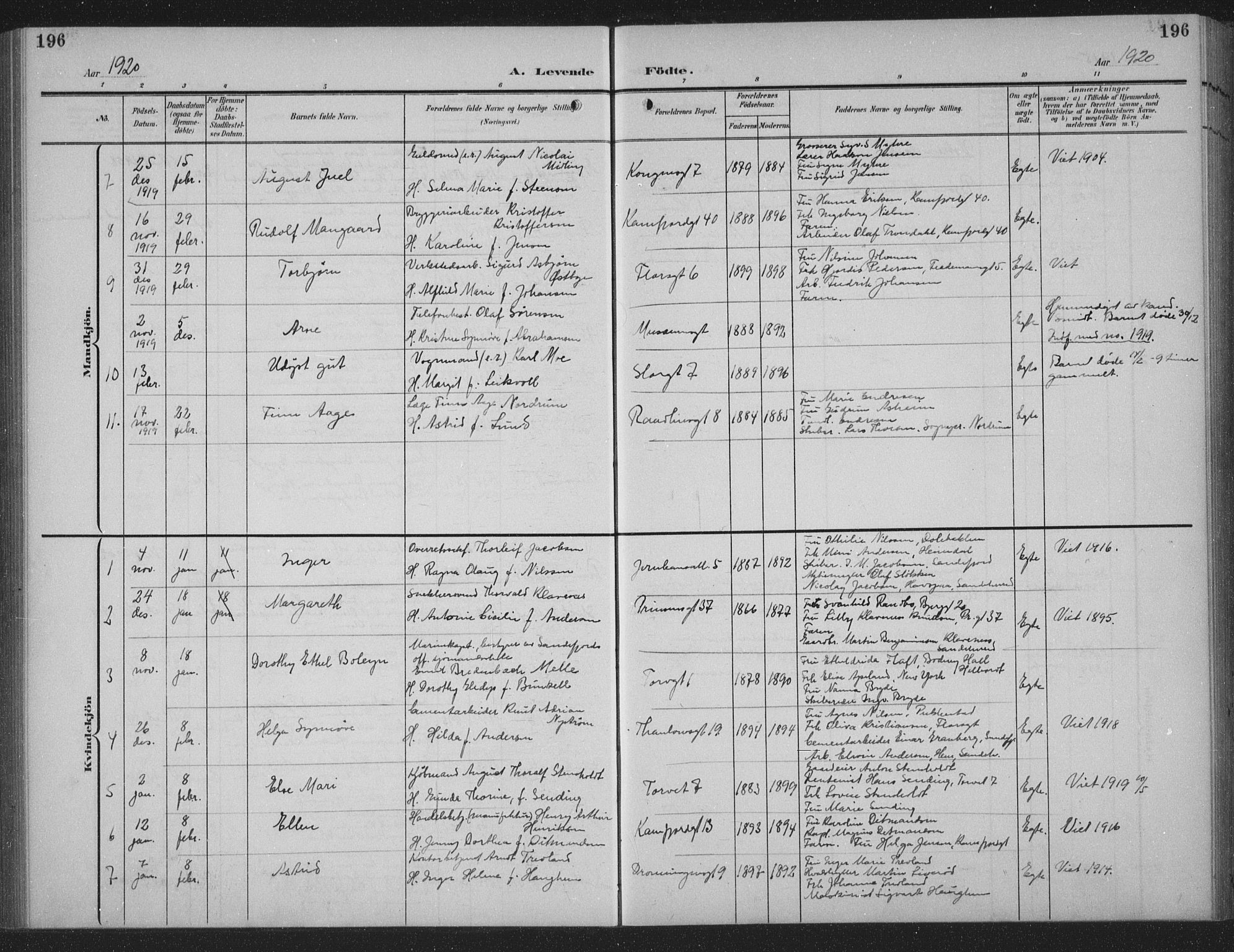 Sandefjord kirkebøker, AV/SAKO-A-315/G/Ga/L0003: Parish register (copy) no. 3, 1903-1920, p. 196