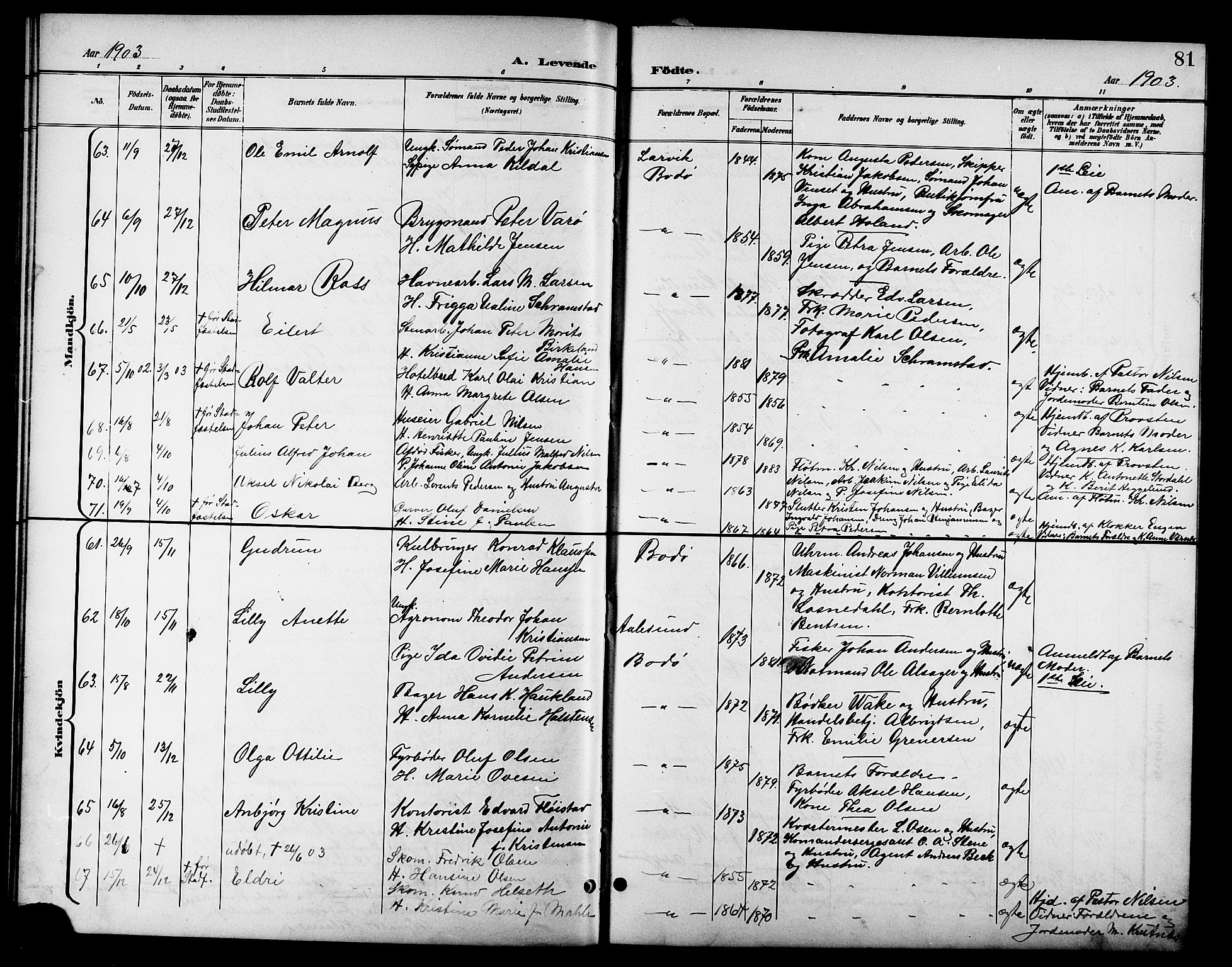 Ministerialprotokoller, klokkerbøker og fødselsregistre - Nordland, SAT/A-1459/801/L0033: Parish register (copy) no. 801C08, 1898-1910, p. 81