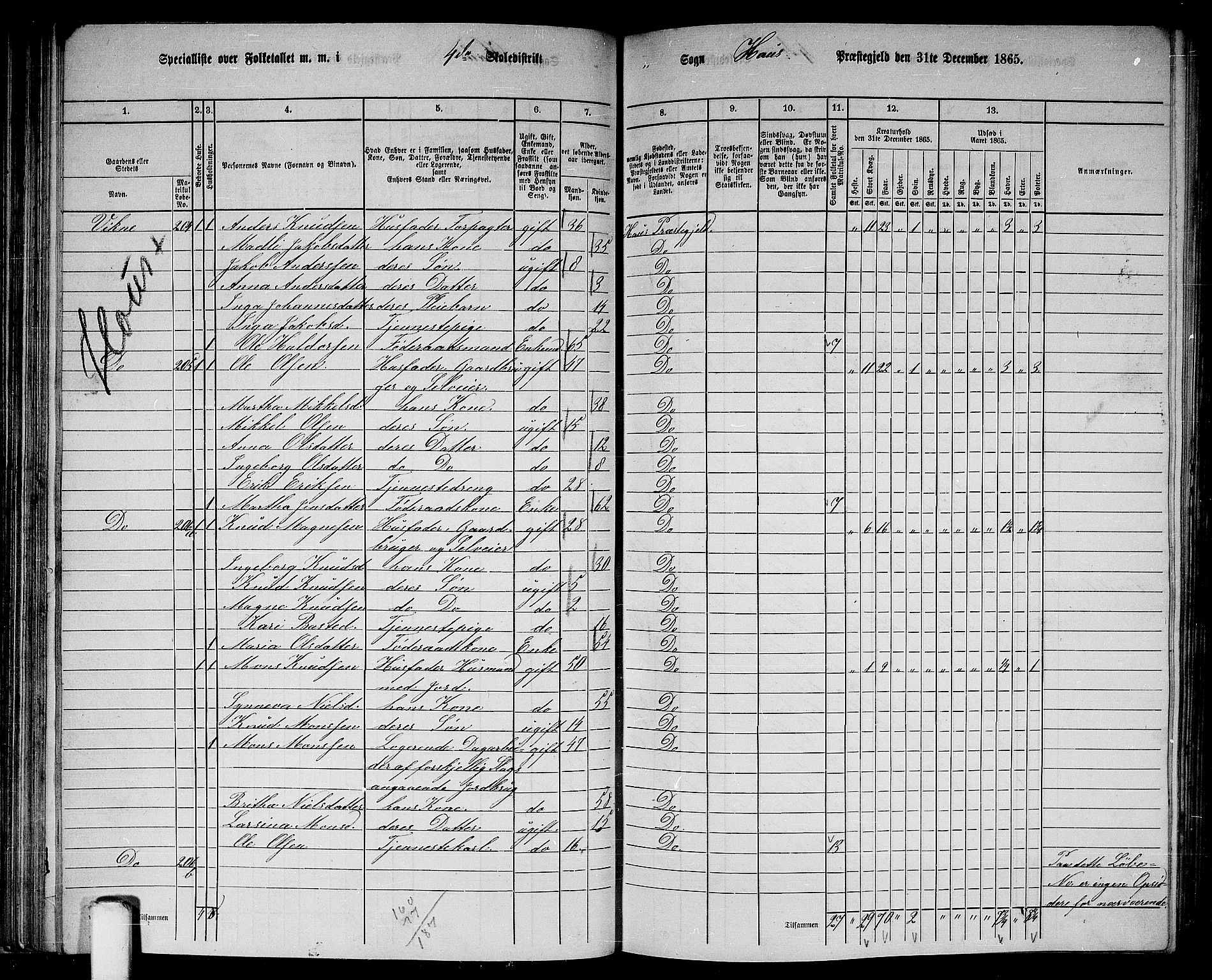 RA, 1865 census for Haus, 1865, p. 81