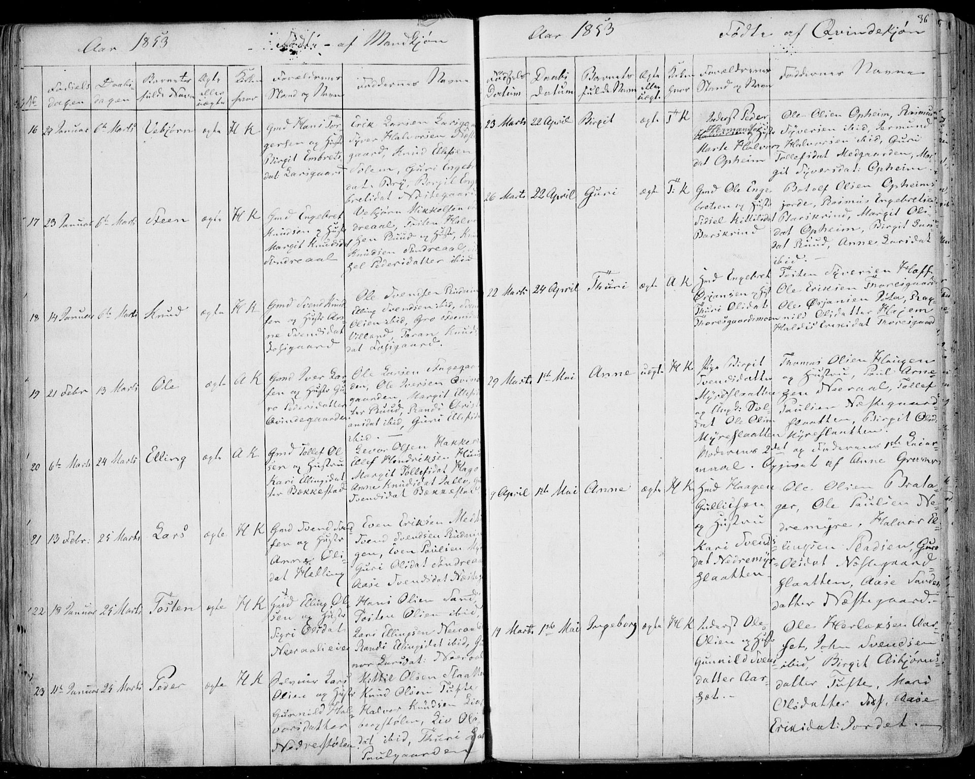 Ål kirkebøker, SAKO/A-249/F/Fa/L0006: Parish register (official) no. I 6, 1849-1864, p. 36